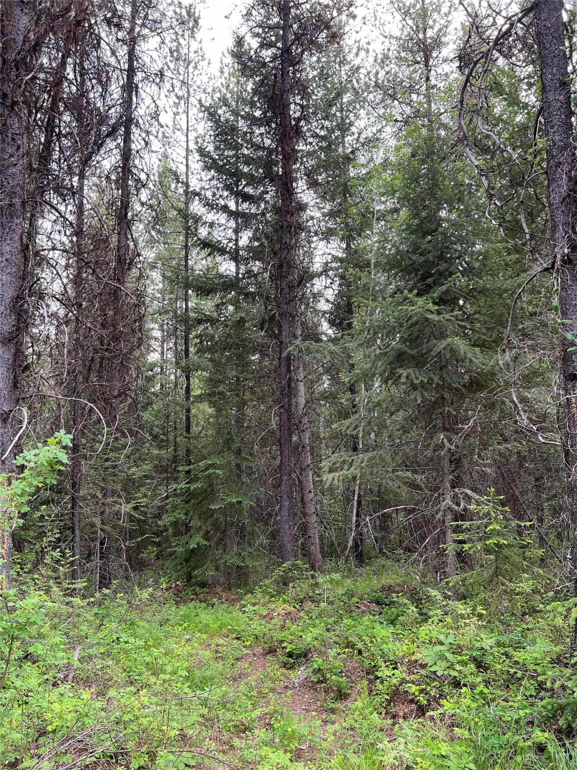 347 & 673 Soaring Eagle Trail Property Photo 85
