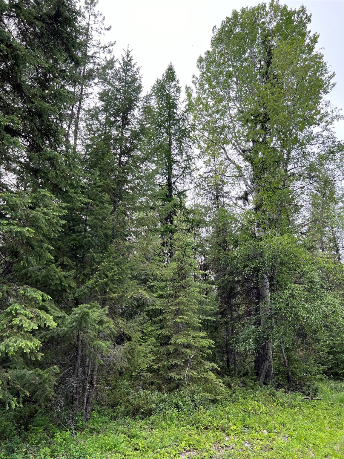 347 & 673 Soaring Eagle Trail Property Photo 87