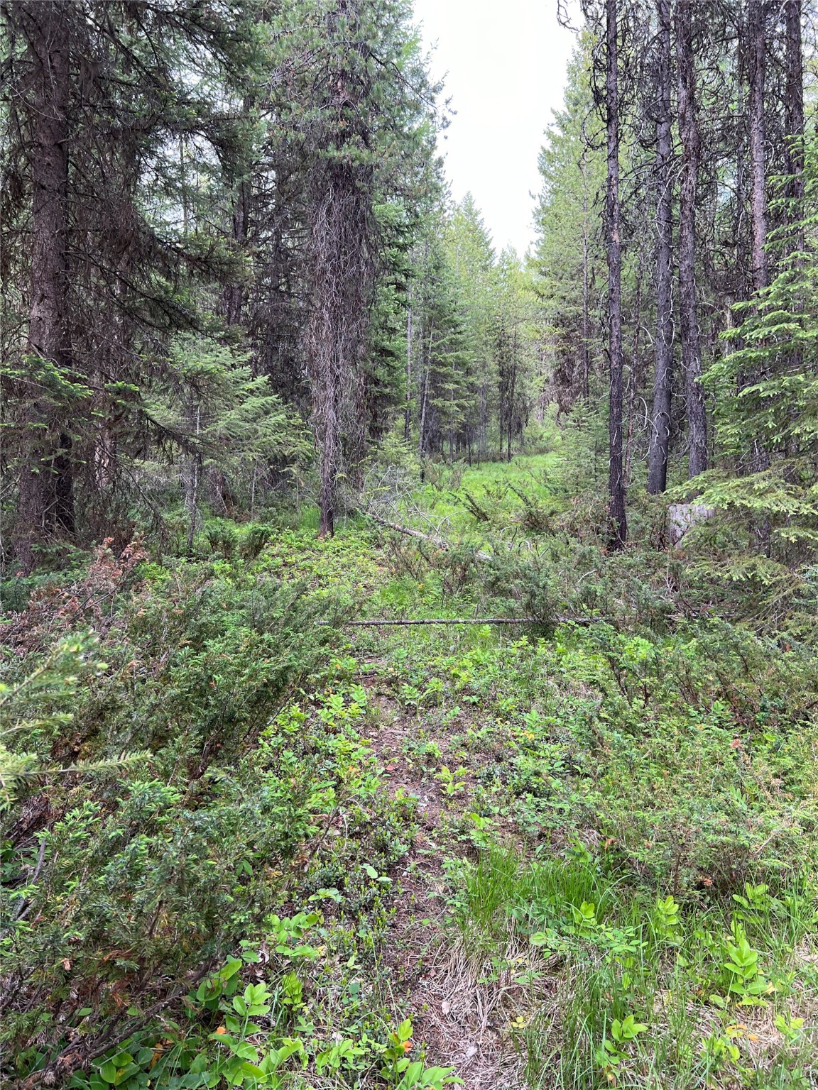 347 & 673 Soaring Eagle Trail Property Photo 88