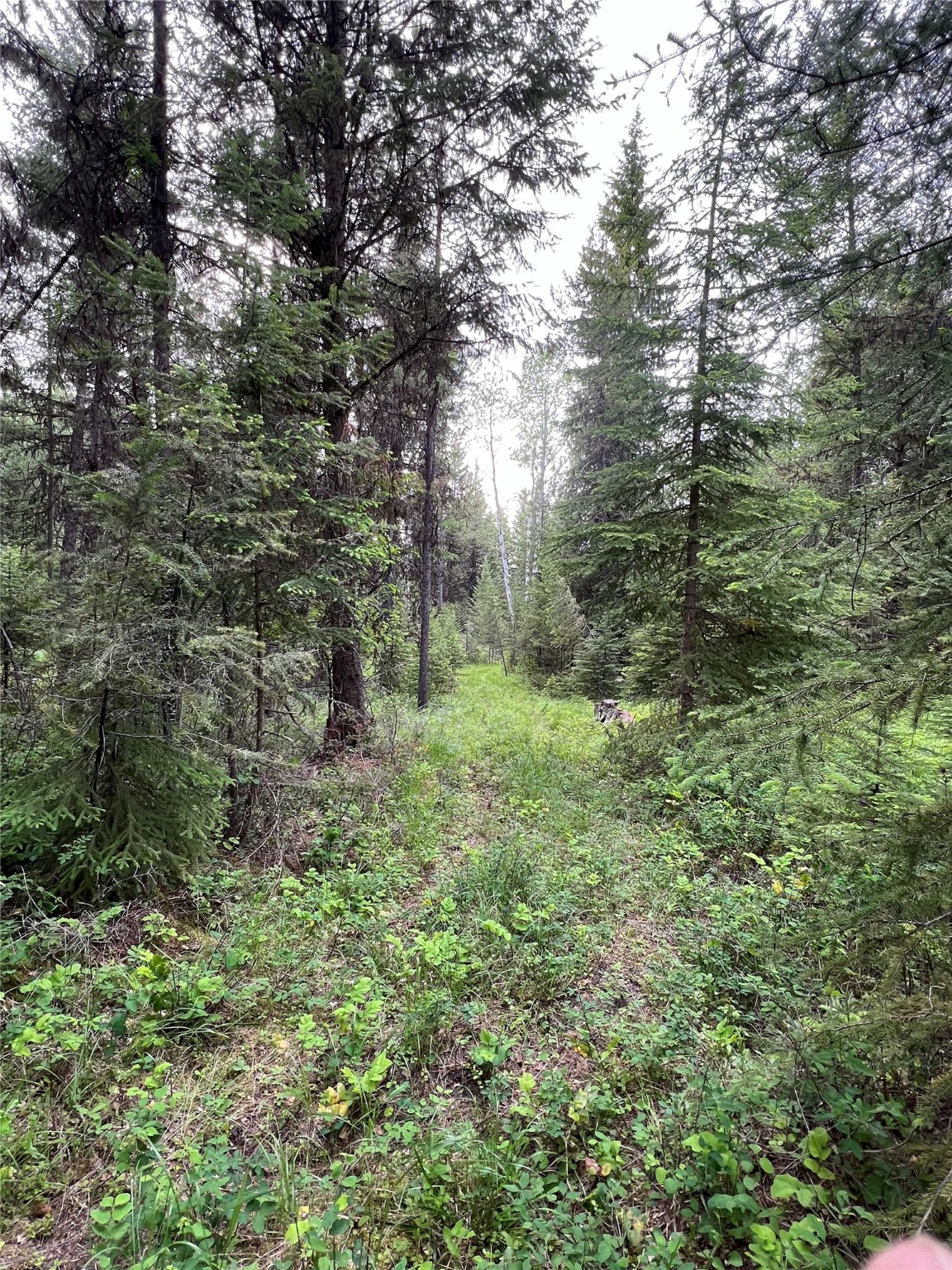 347 & 673 Soaring Eagle Trail Property Photo 91
