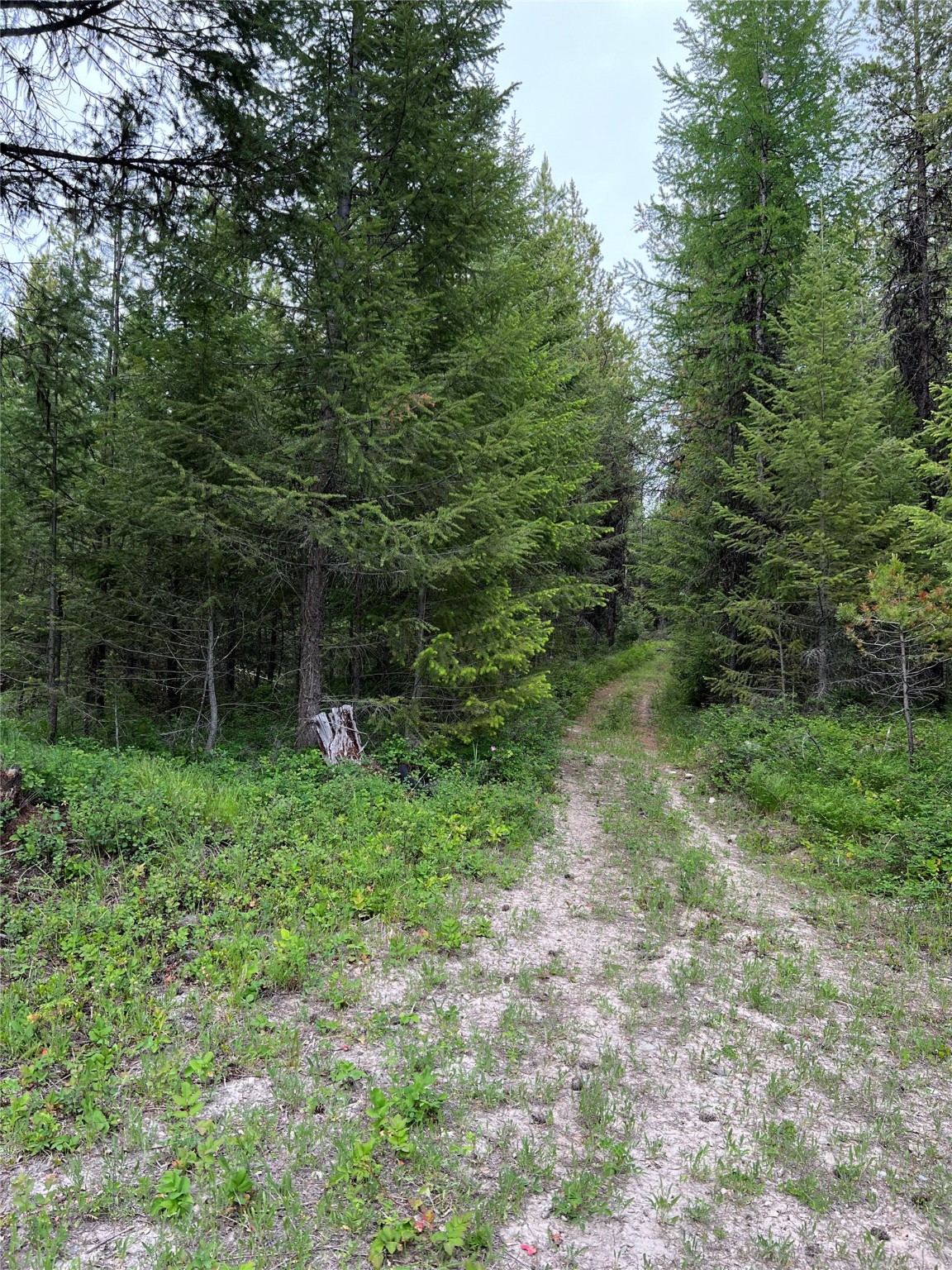 347 & 673 Soaring Eagle Trail Property Photo 93