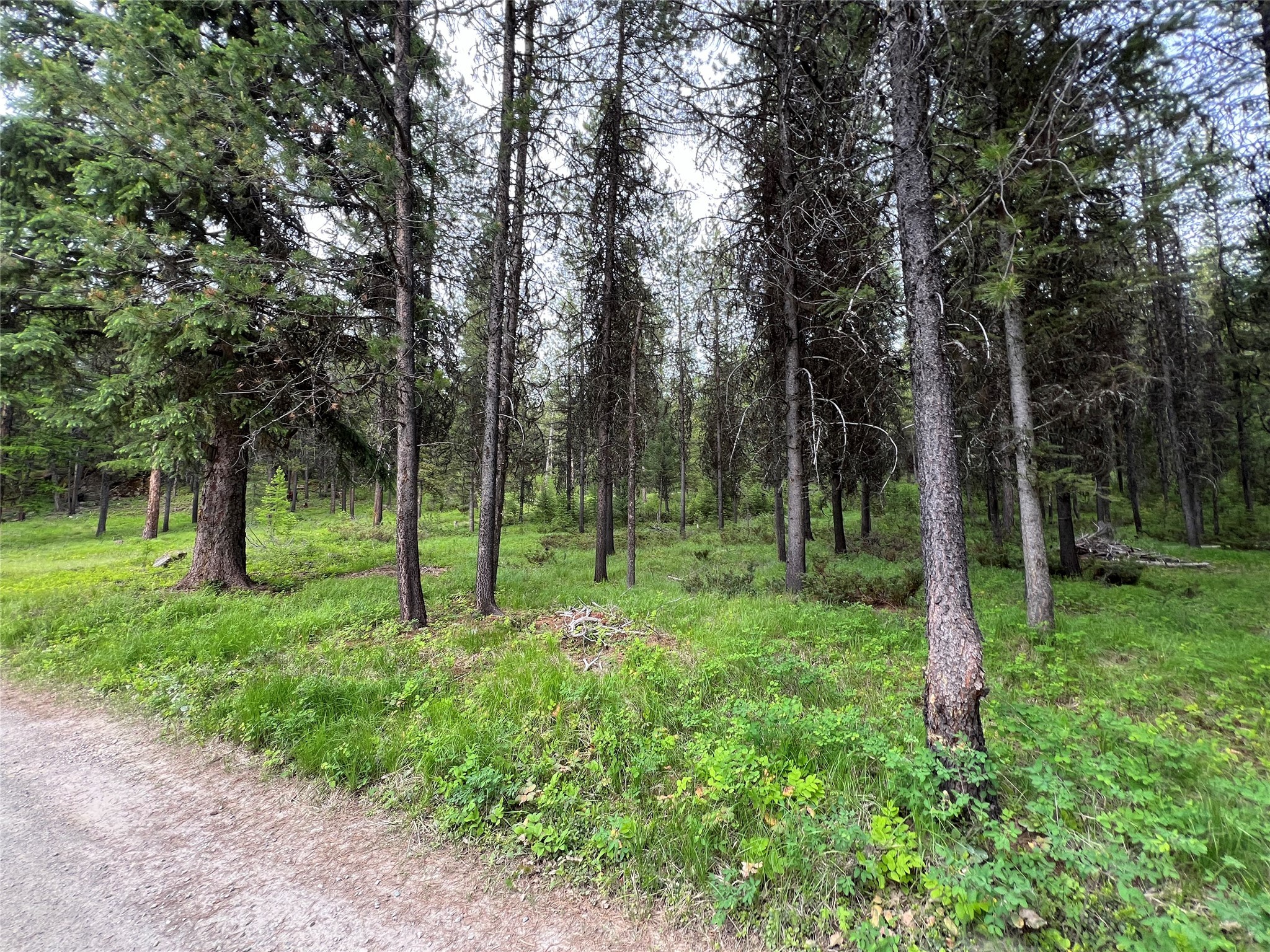 347 & 673 Soaring Eagle Trail Property Photo 97