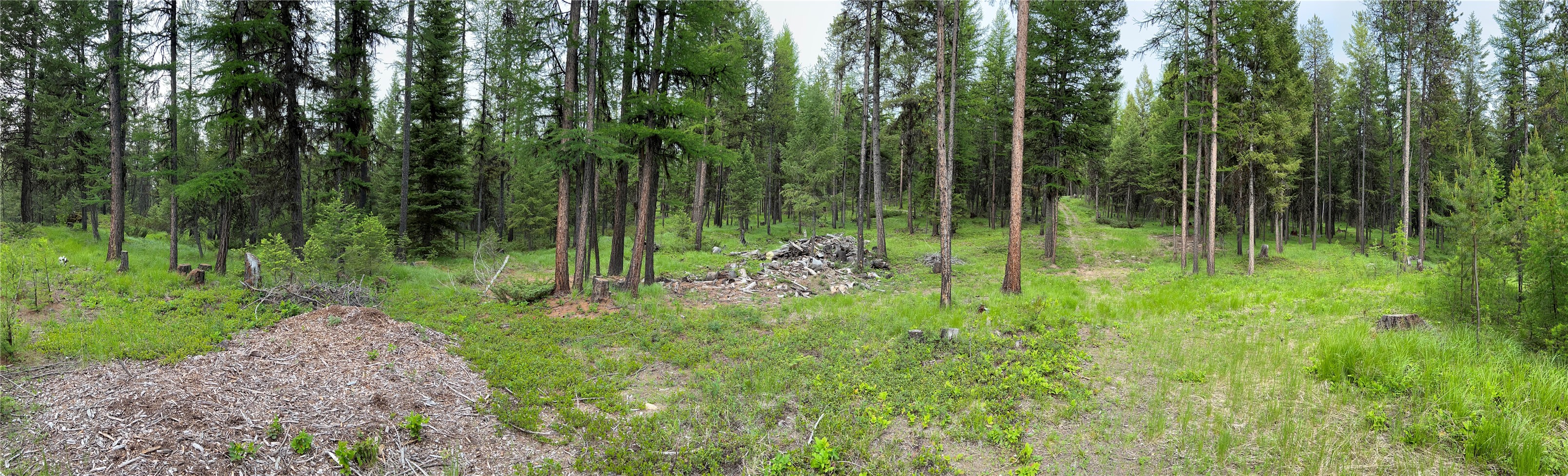 347 & 673 Soaring Eagle Trail Property Photo 99