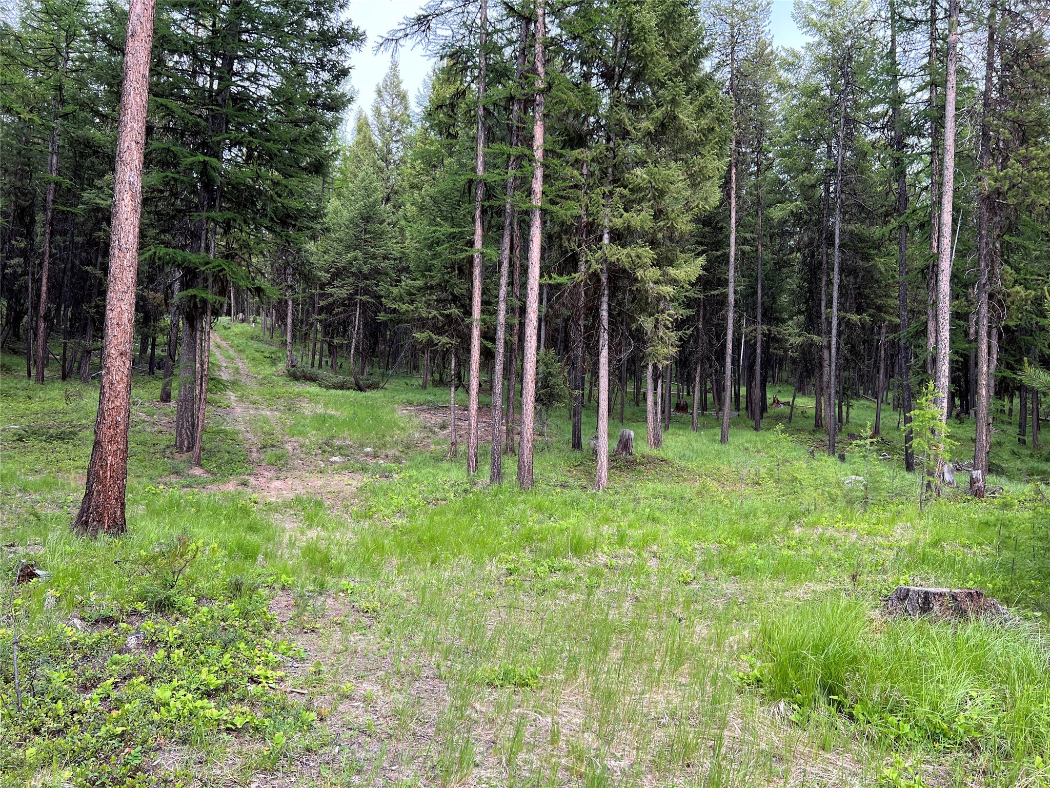 347 & 673 Soaring Eagle Trail Property Photo 100