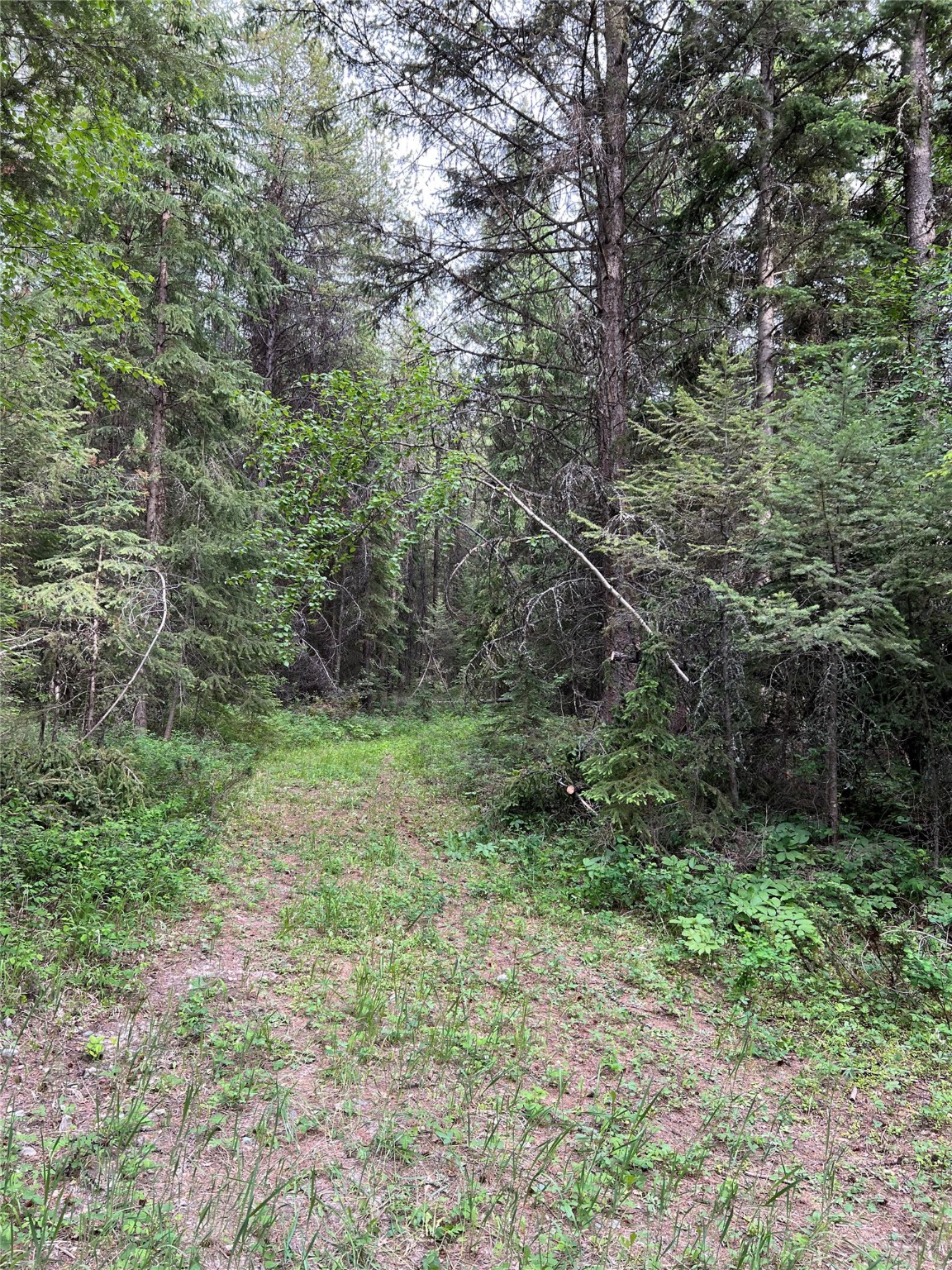 347 & 673 Soaring Eagle Trail Property Photo 118