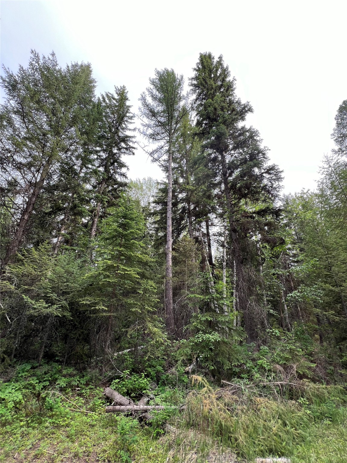 347 & 673 Soaring Eagle Trail Property Photo 119