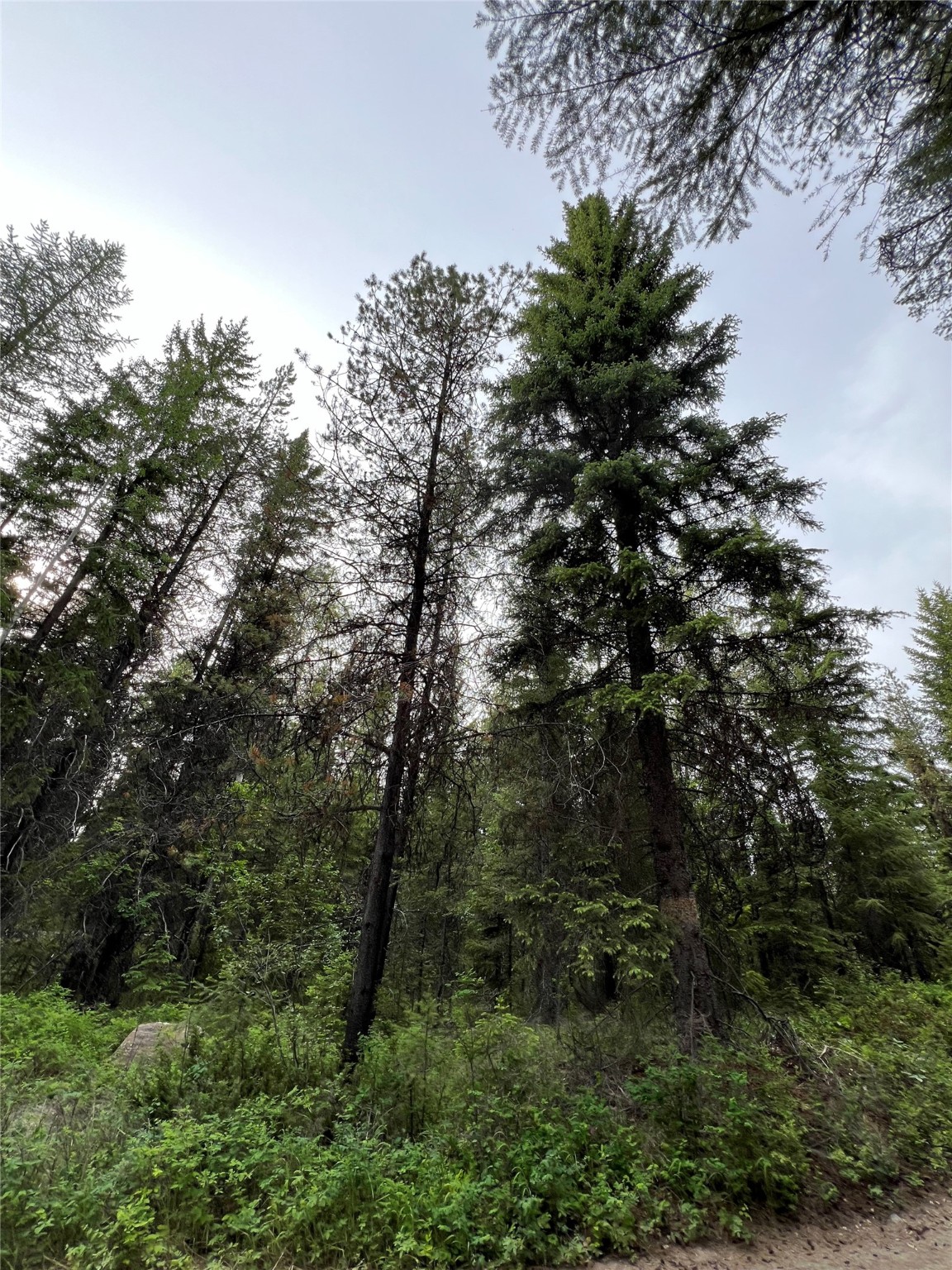 347 & 673 Soaring Eagle Trail Property Photo 120