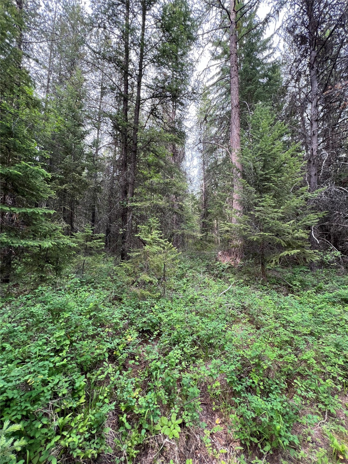 347 & 673 Soaring Eagle Trail Property Photo 121