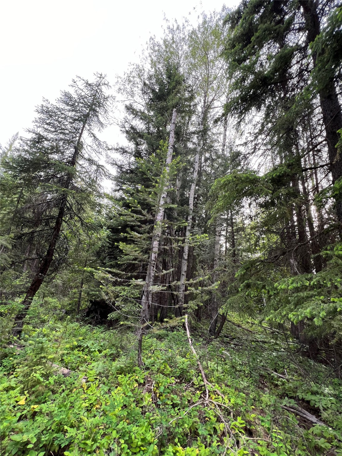 347 & 673 Soaring Eagle Trail Property Photo 122