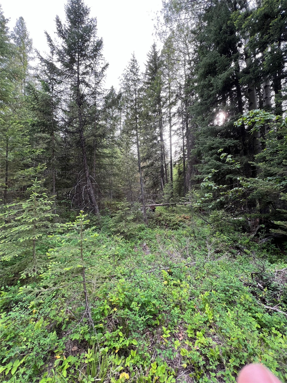 347 & 673 Soaring Eagle Trail Property Photo 123