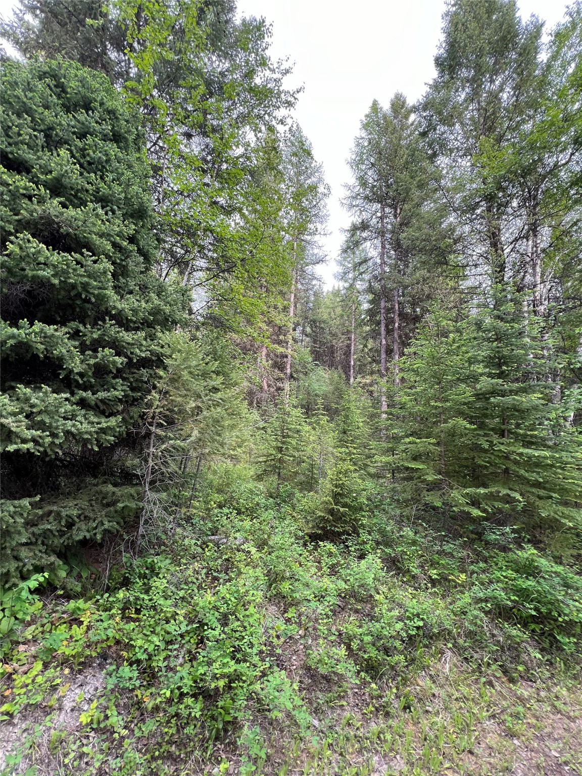 347 & 673 Soaring Eagle Trail Property Photo 124