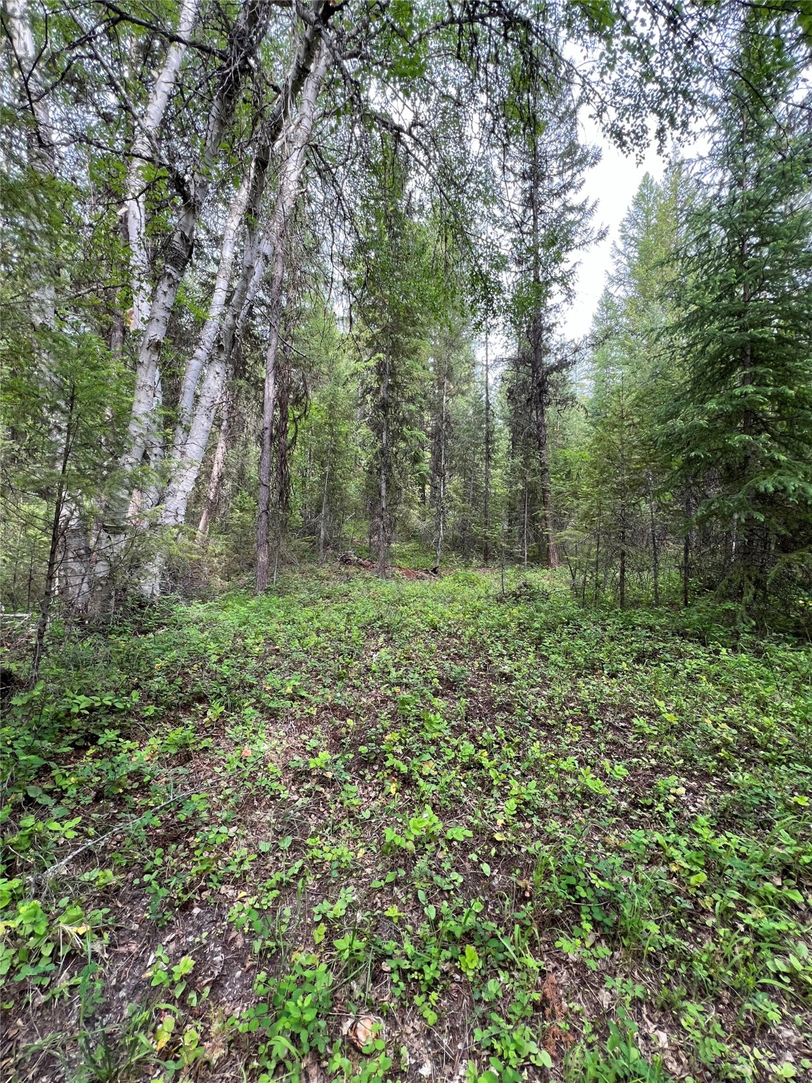 347 & 673 Soaring Eagle Trail Property Photo 125