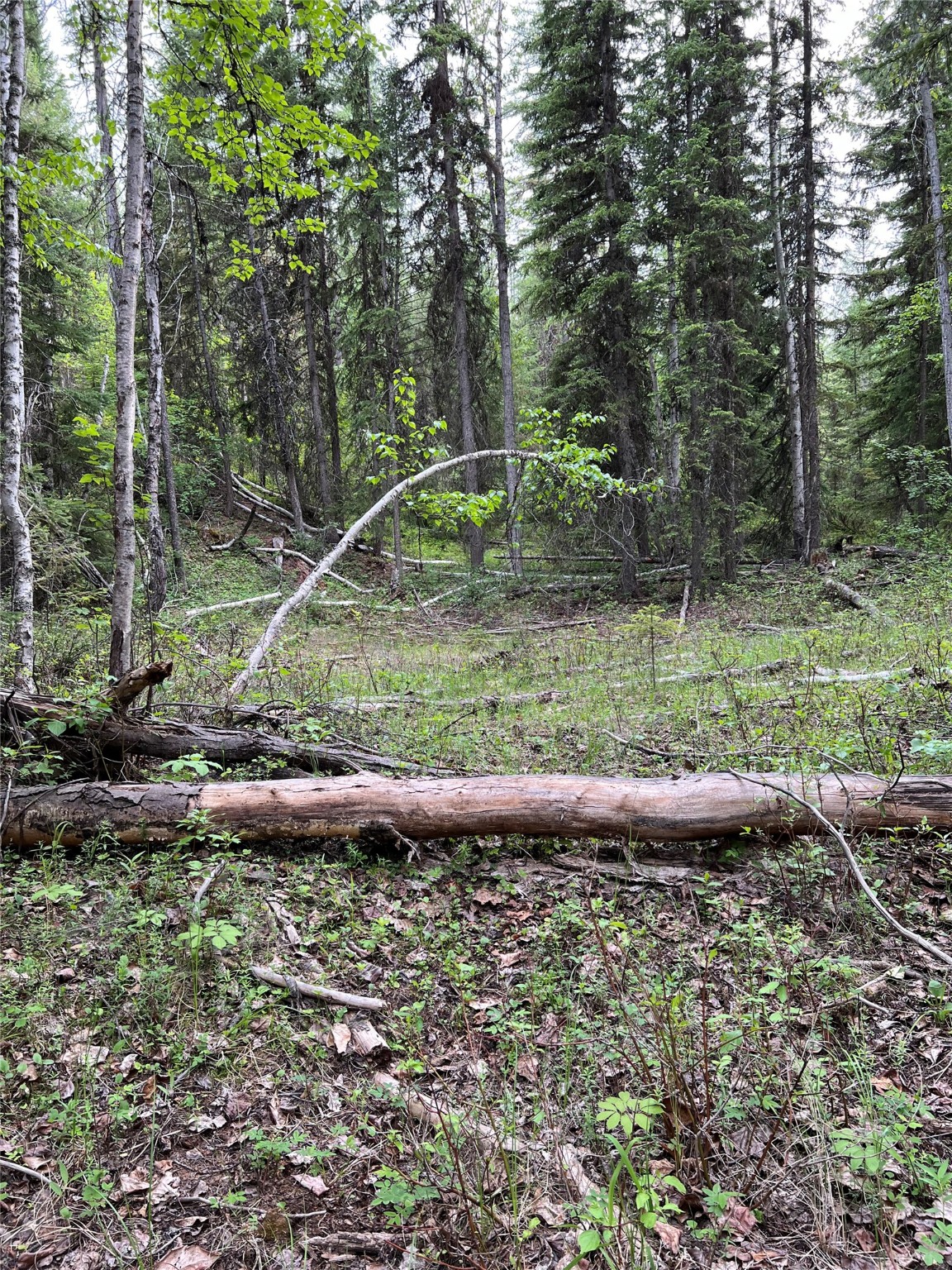 347 & 673 Soaring Eagle Trail Property Photo 127