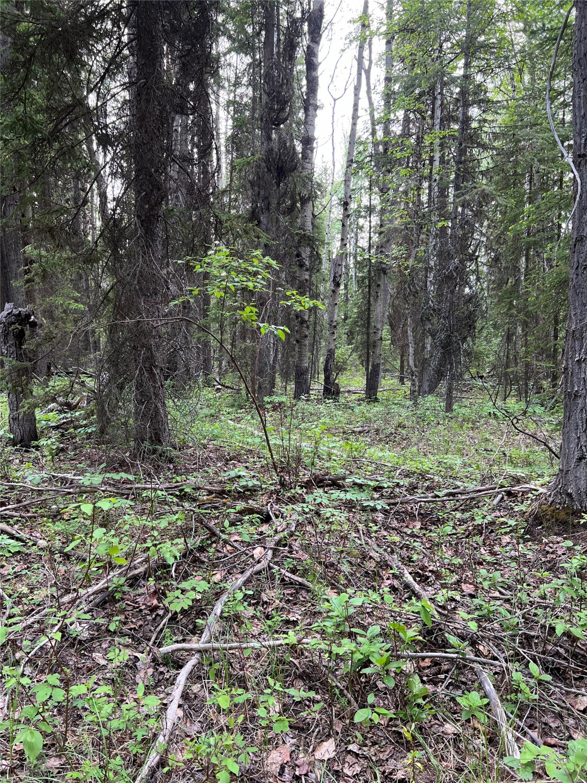 347 & 673 Soaring Eagle Trail Property Photo 128