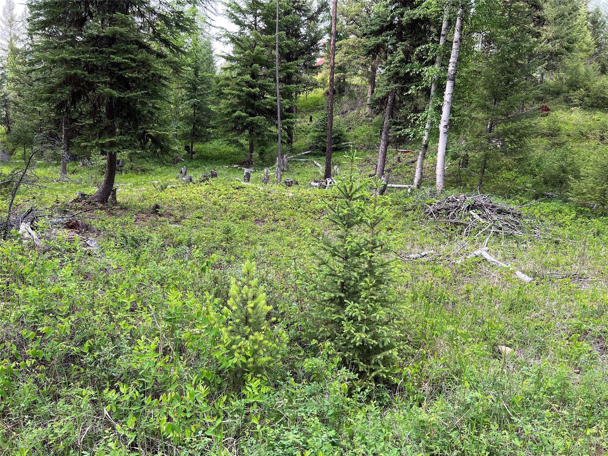 347 & 673 Soaring Eagle Trail Property Photo 129