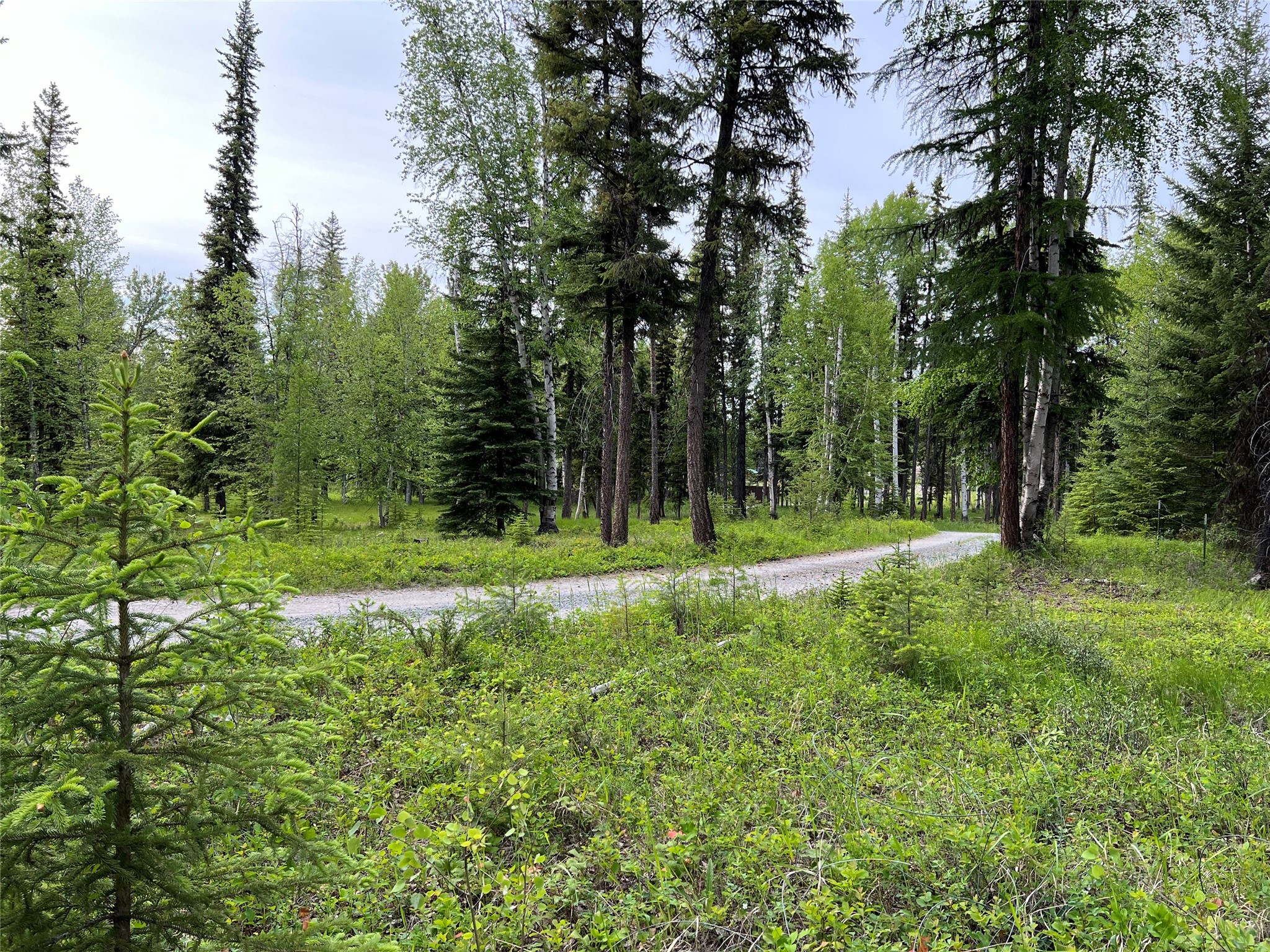 347 & 673 Soaring Eagle Trail Property Photo 133