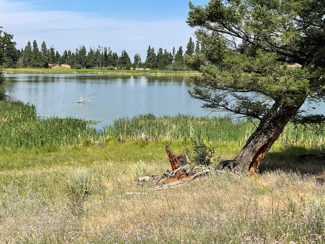 Tbd Braziel Creek Property Photo