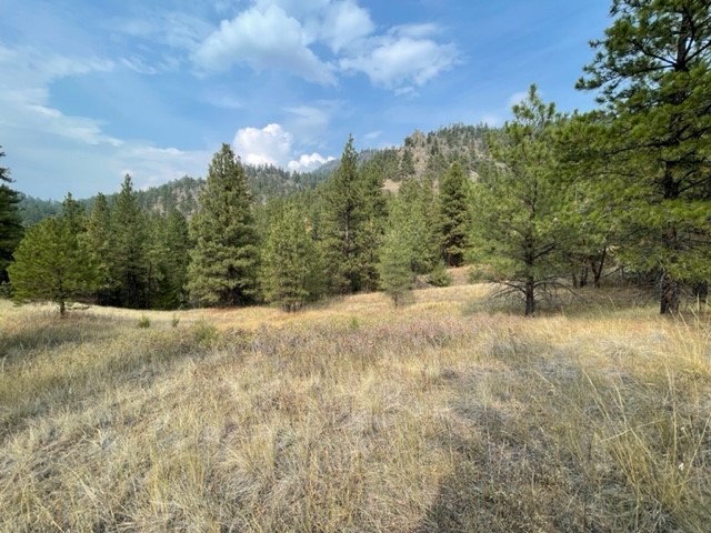 Tbd Mountain Home Lane Property Photo
