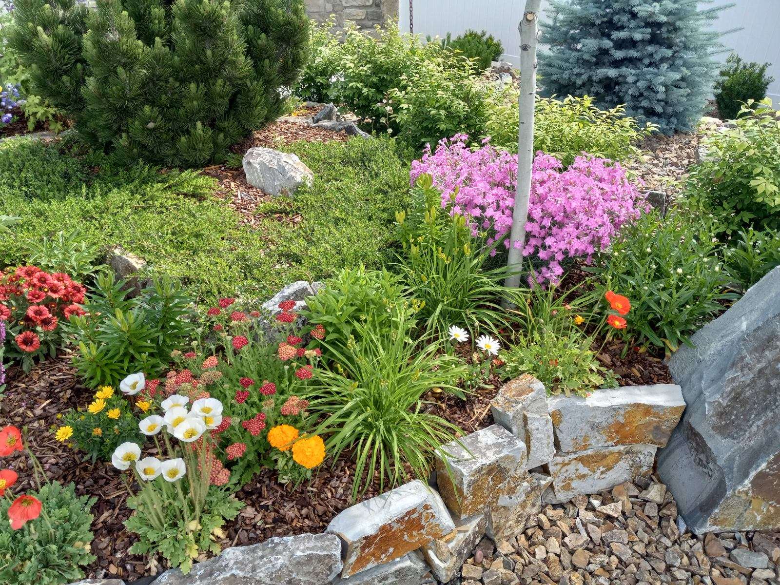 113 Mountain Vista Court Property Photo 4