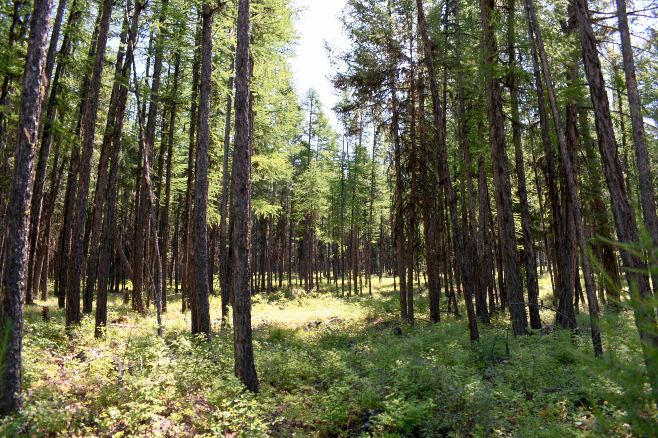 Lot 2b Phills Lake Road Property Photo