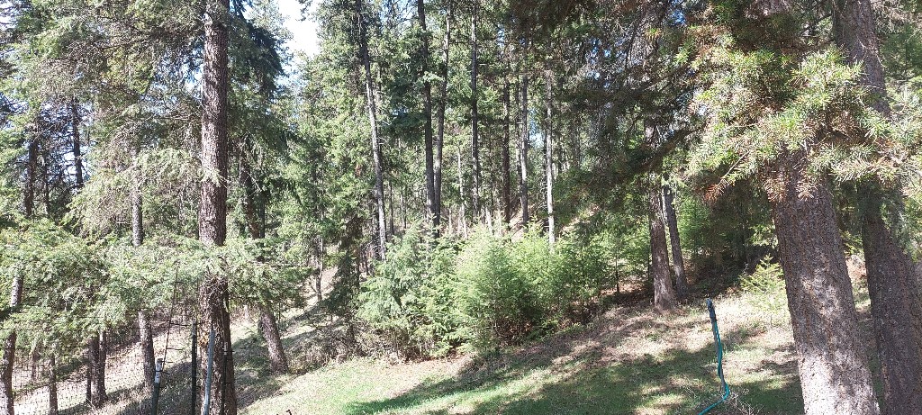 26 Hideaway Lane Property Photo 17