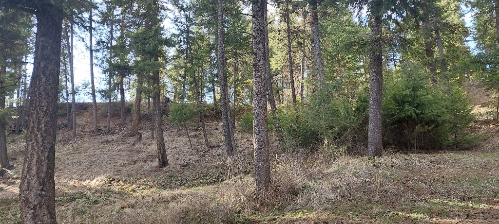 26 Hideaway Lane Property Photo 18