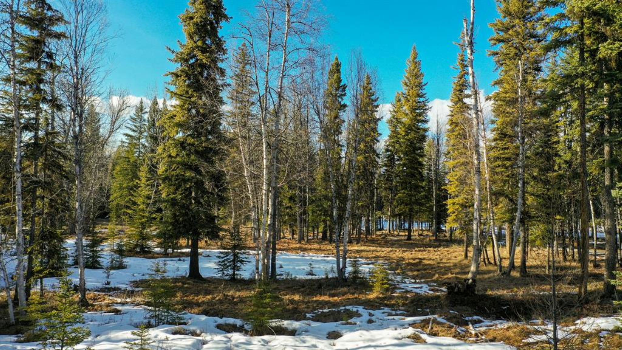 37 Soaring Eagle Trail Property Photo