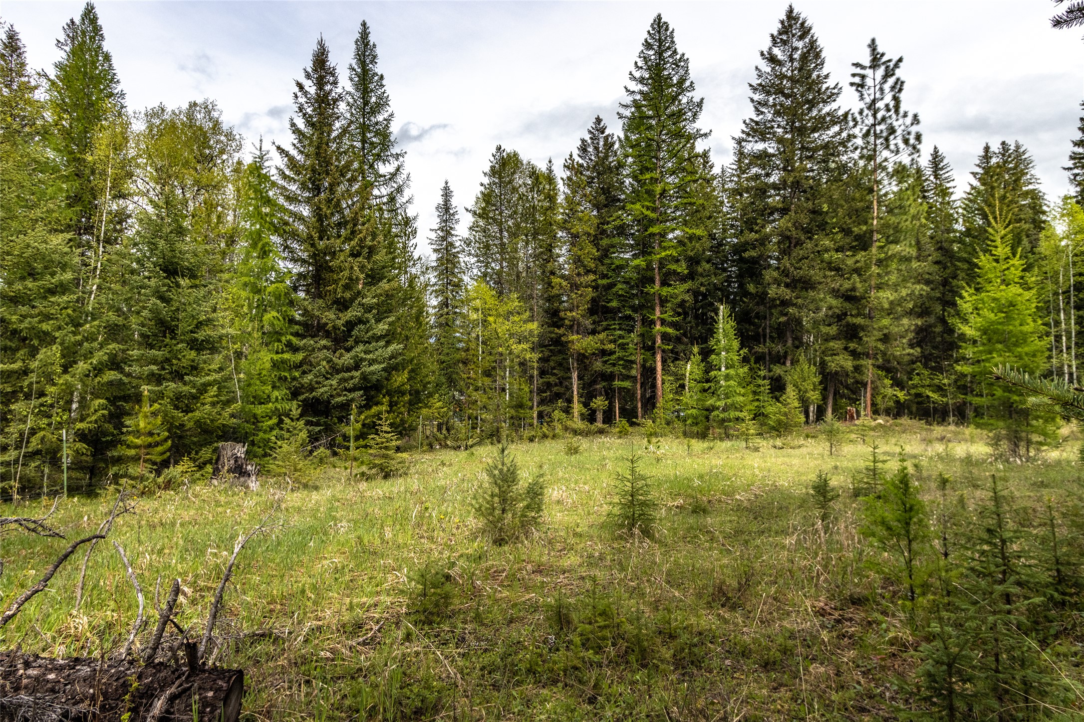 37 Soaring Eagle Trail Property Photo 1