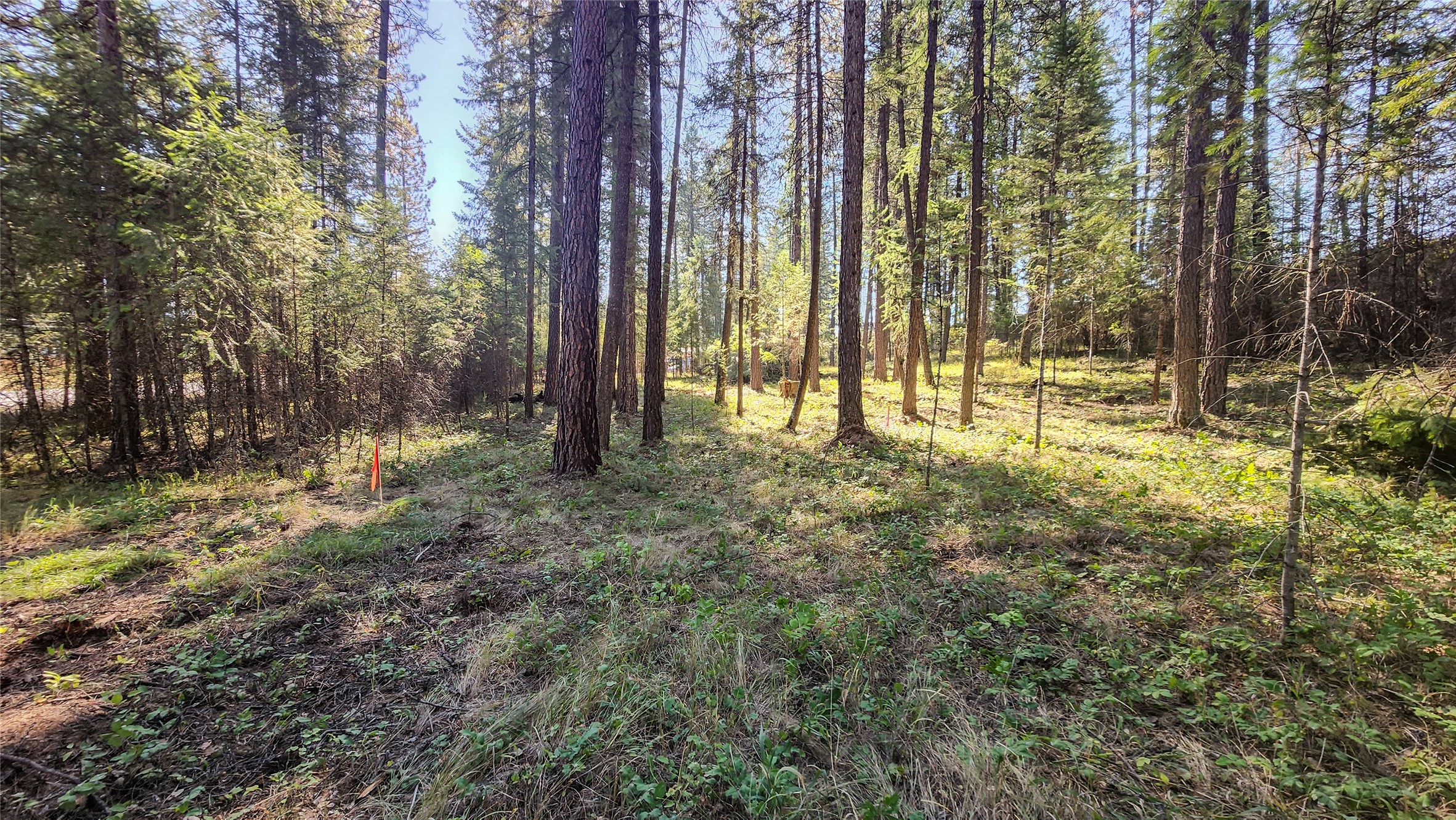 1505 Kootenai River Road Property Photo