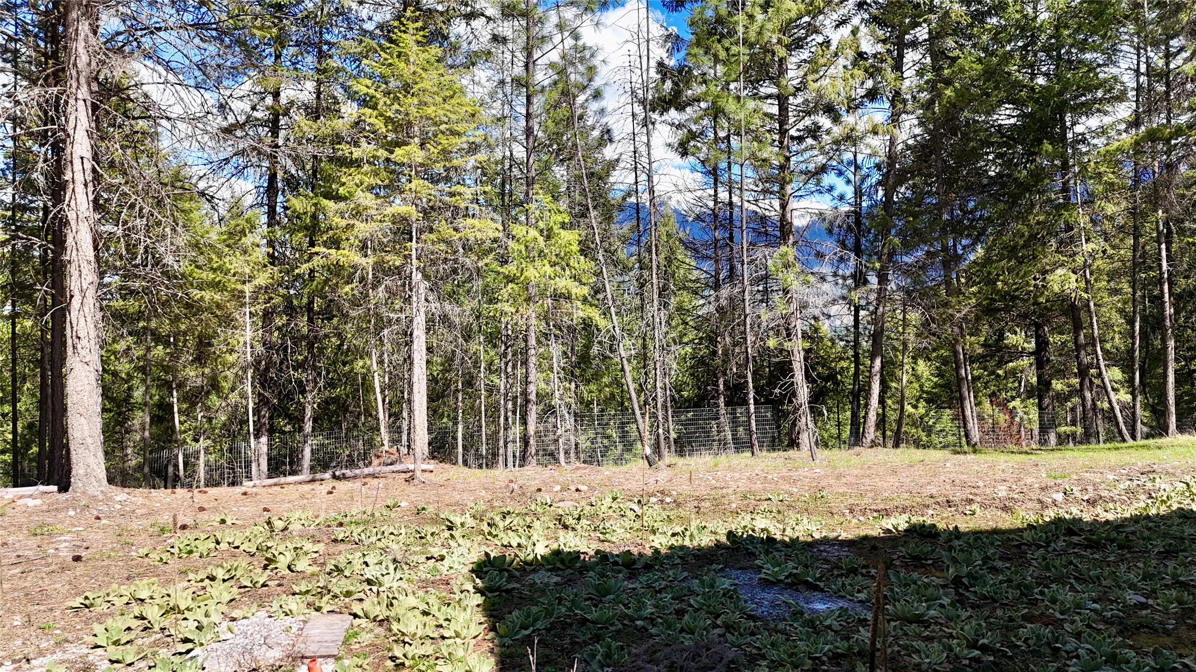 421 Cherry Creek Road Property Photo 50