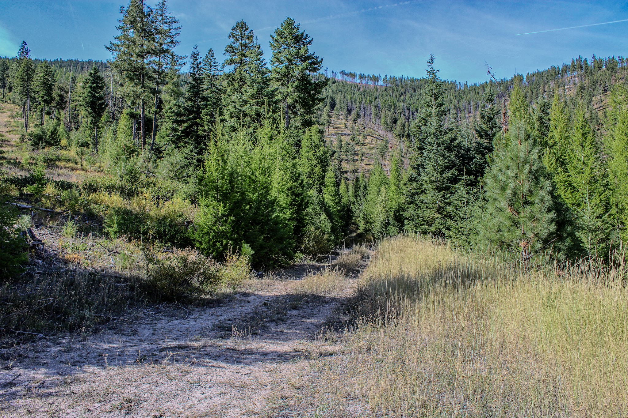 Nhn W Fork Combest Creek Road Property Photo 1