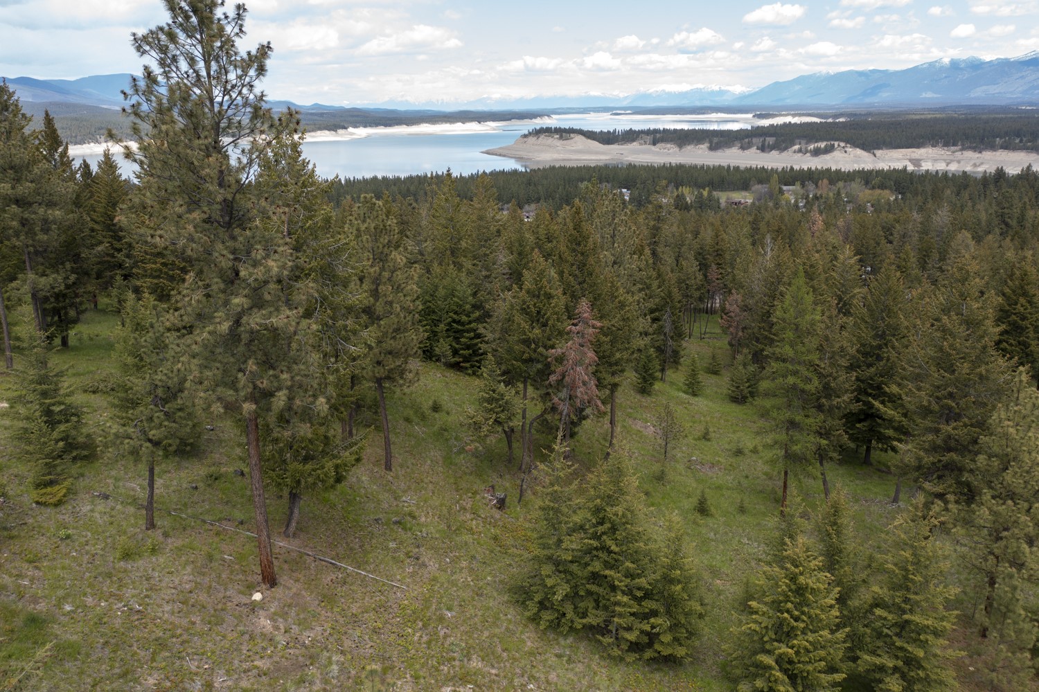 Lot 2 Elk Camp Property Photo