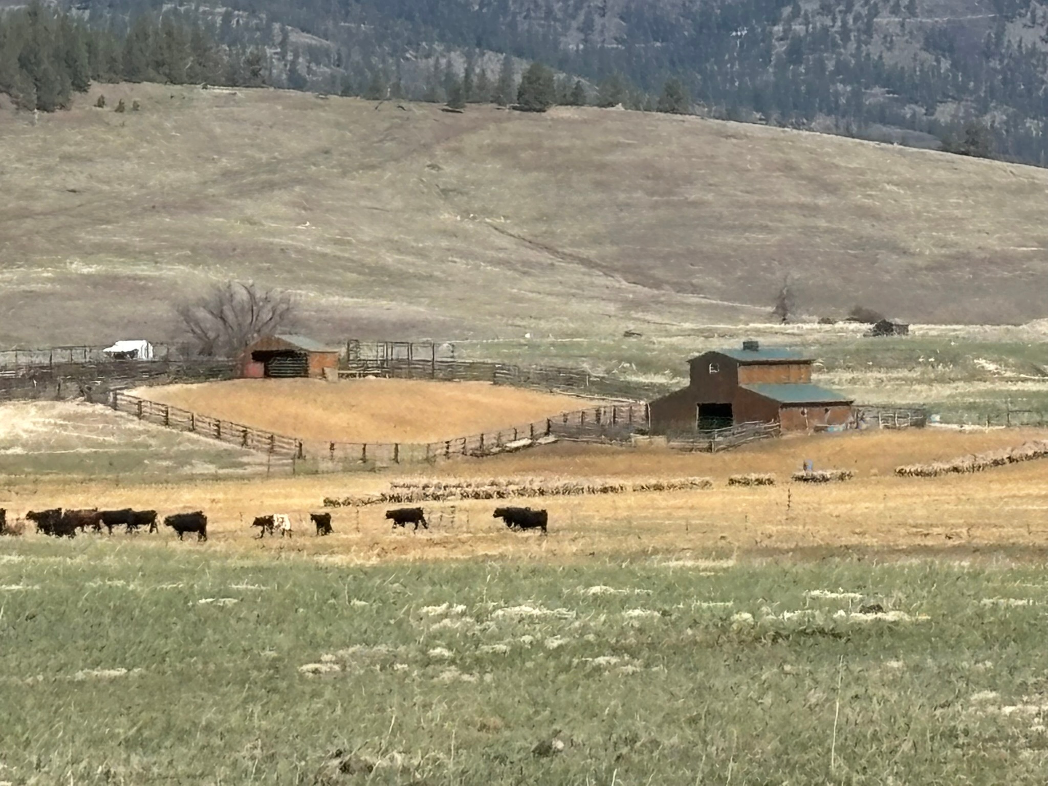 3 Finley Gulch Road Property Photo 1