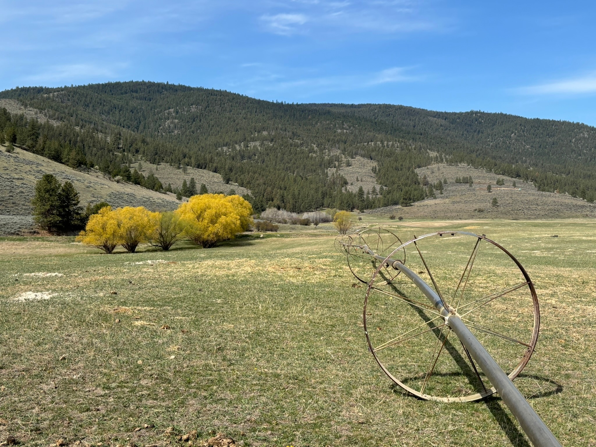 3 Finley Gulch Road Property Photo 5