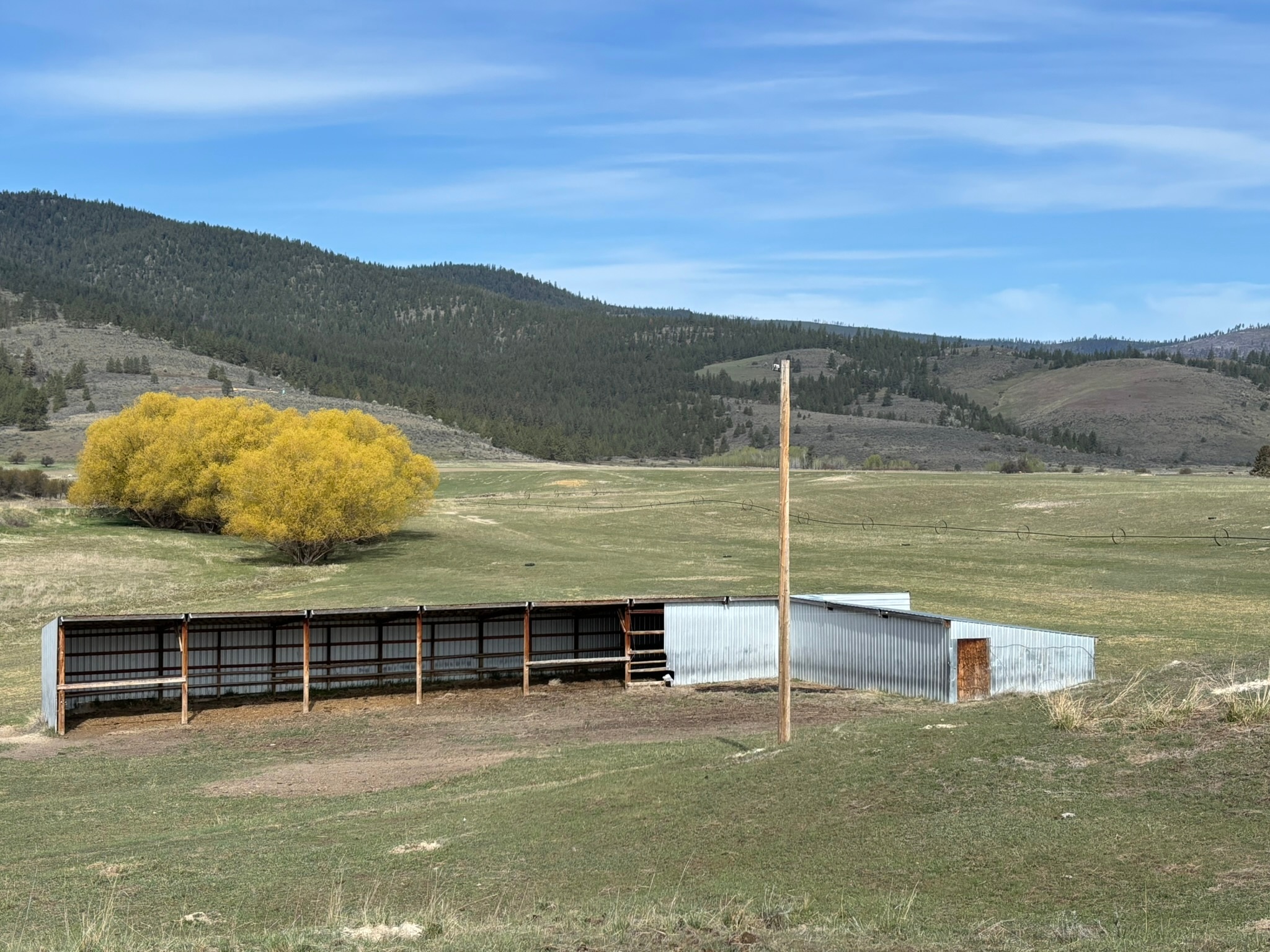 3 Finley Gulch Road Property Photo 15