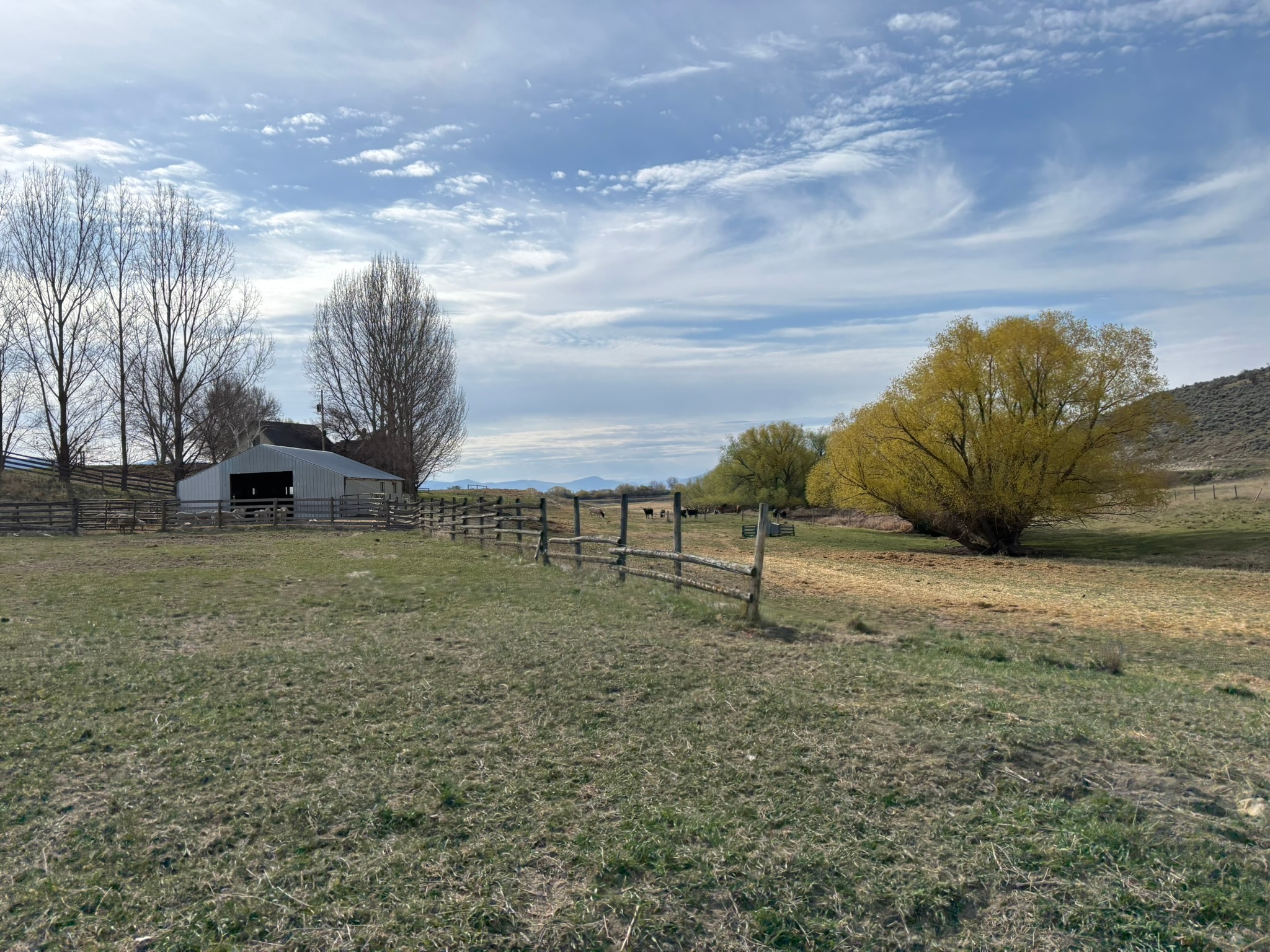 3 Finley Gulch Road Property Photo 71