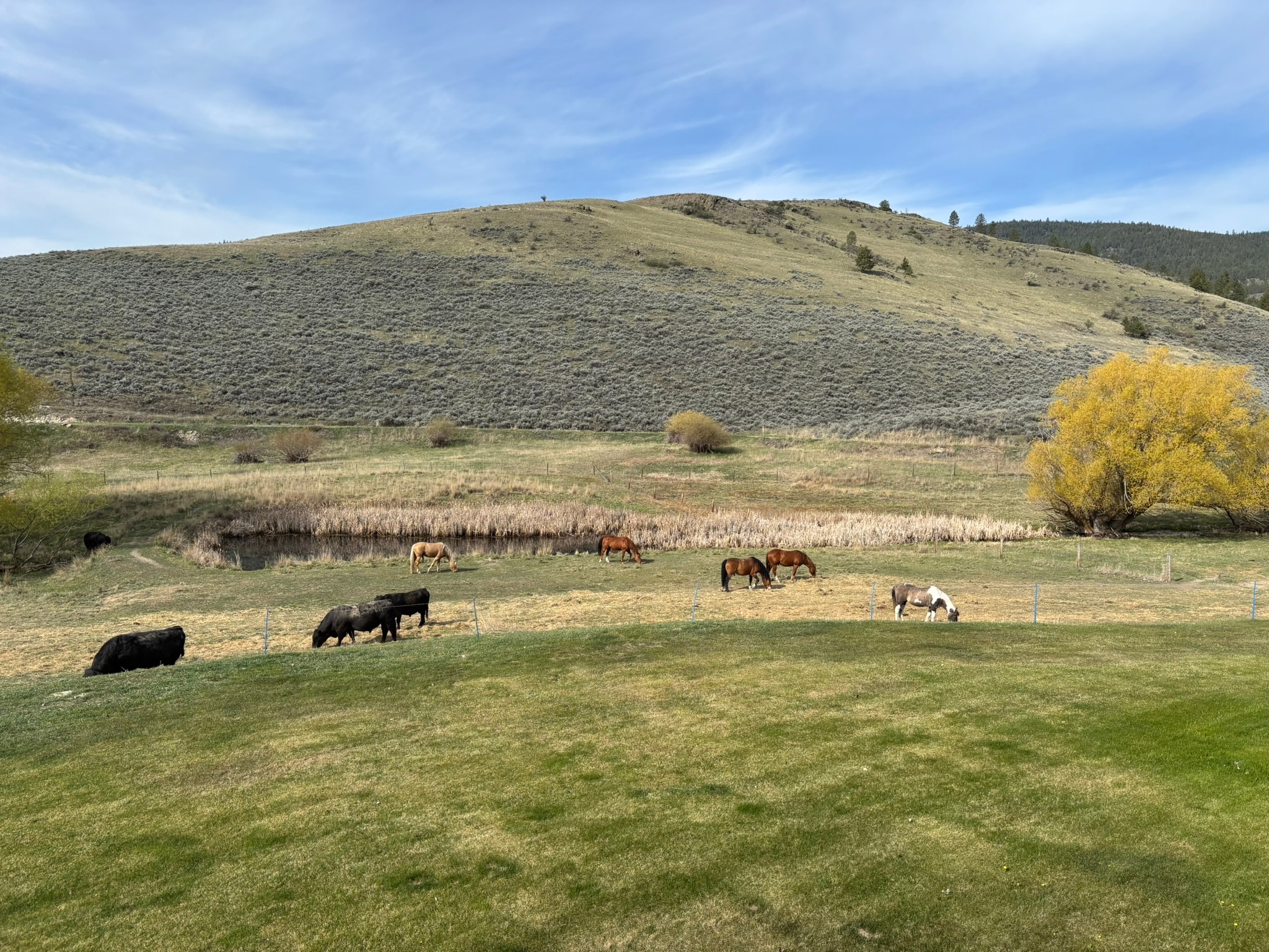 3 Finley Gulch Road Property Photo 73