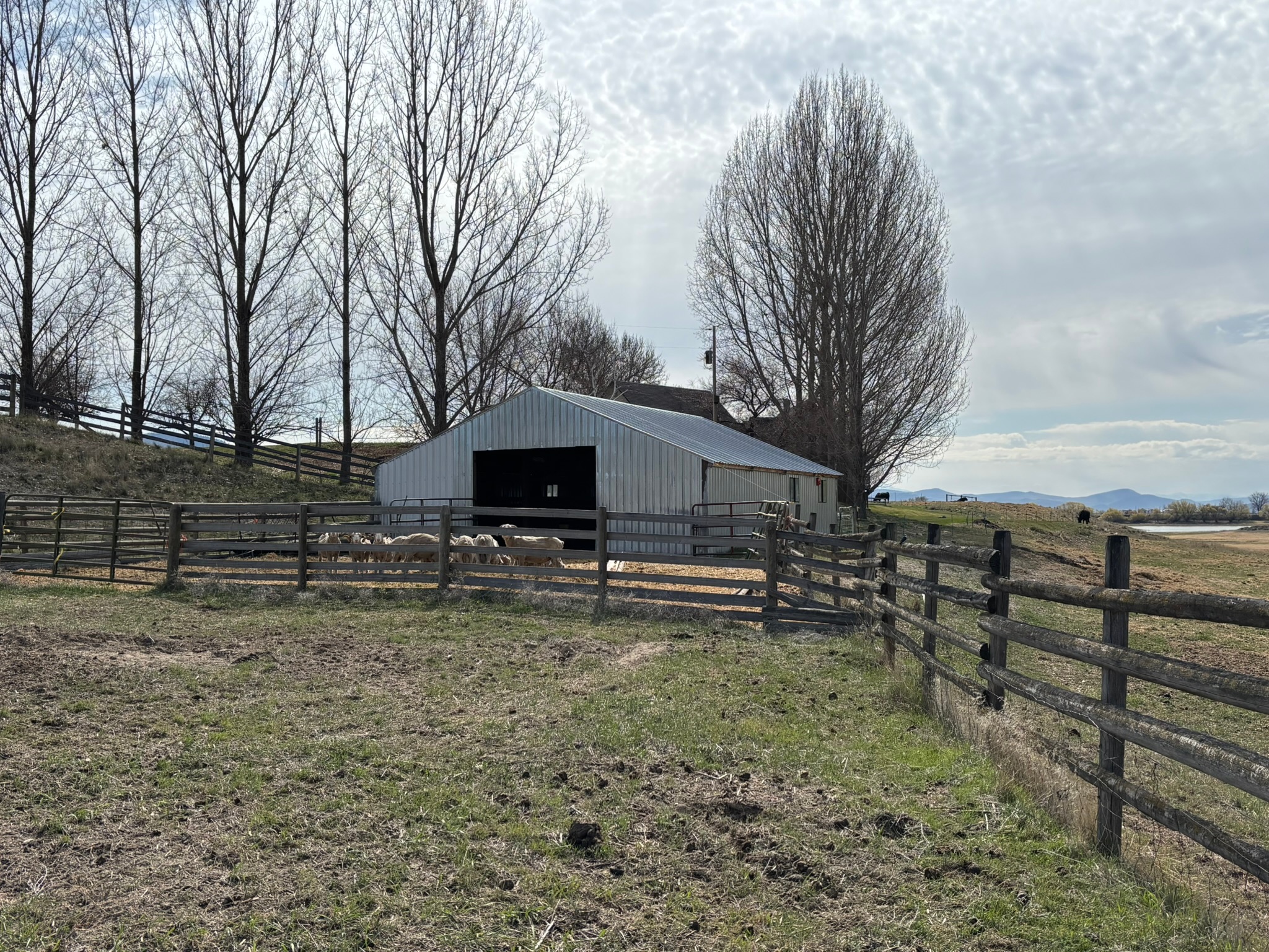 3 Finley Gulch Road Property Photo 77