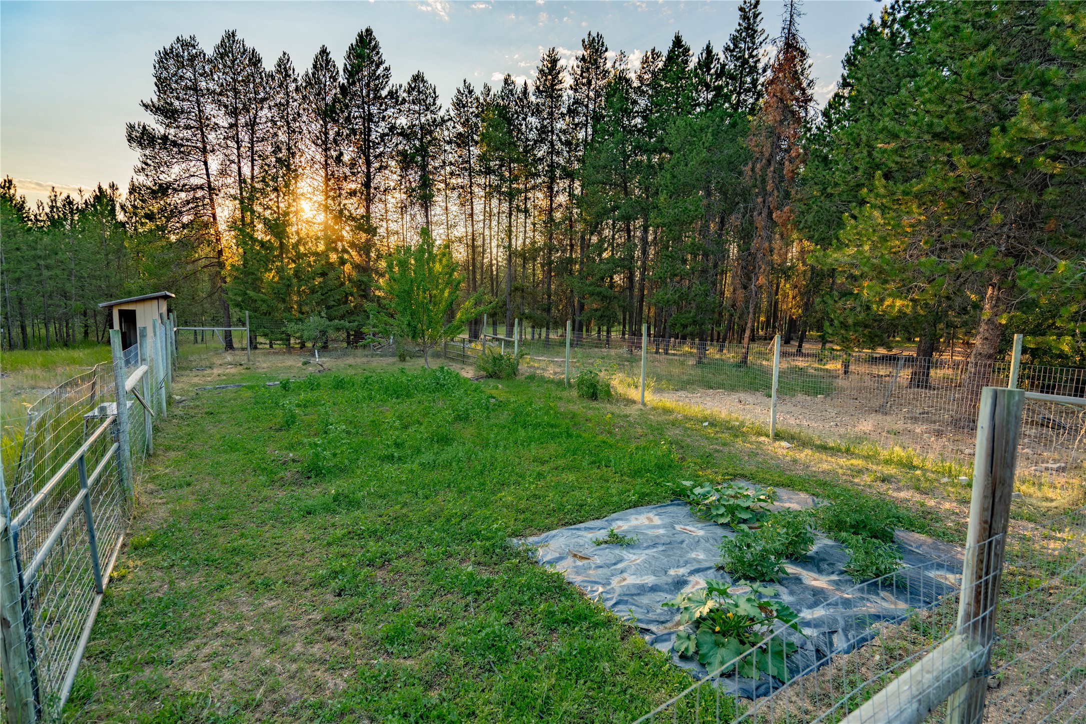 543 Hammer Cutoff Road Property Photo 32