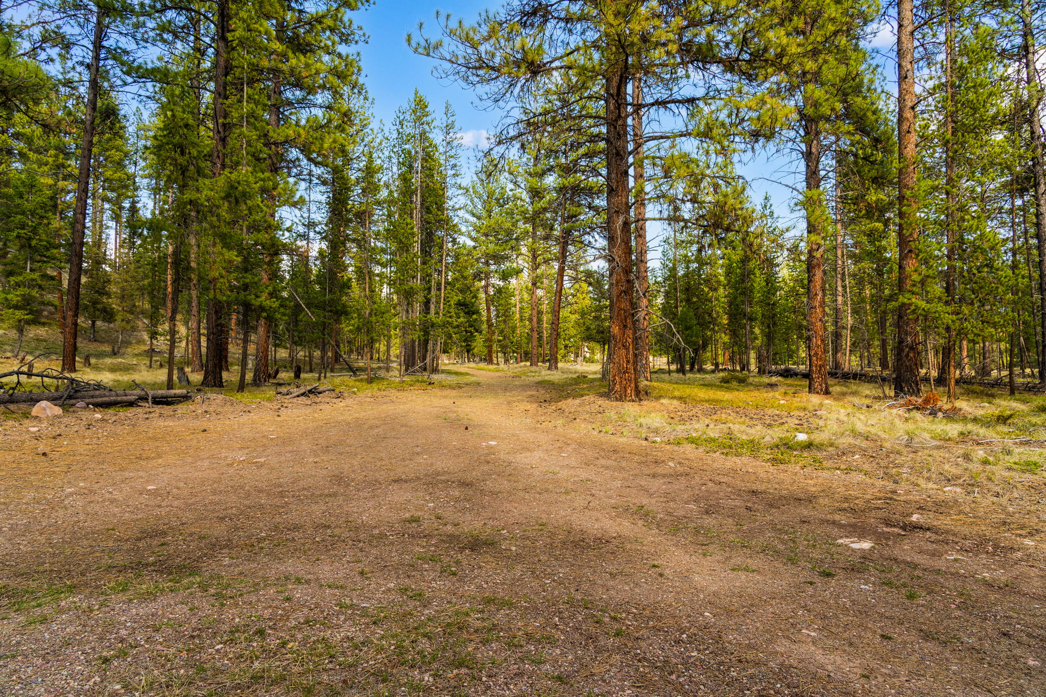 Seeley Lake Real Estate Listings Main Image