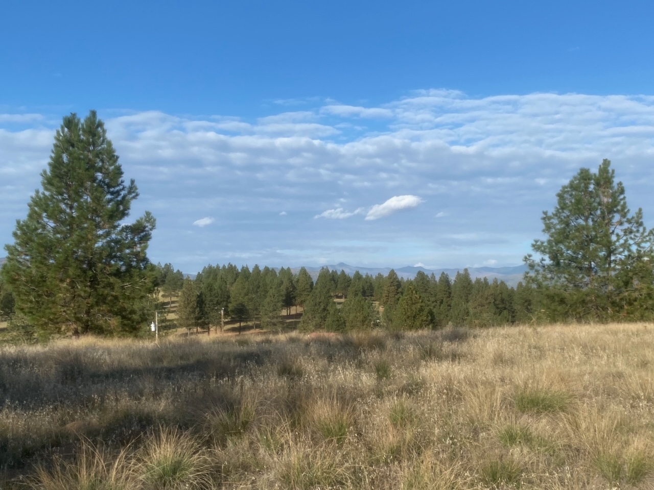Nhn Lot 2 Happy Hollow Property Photo