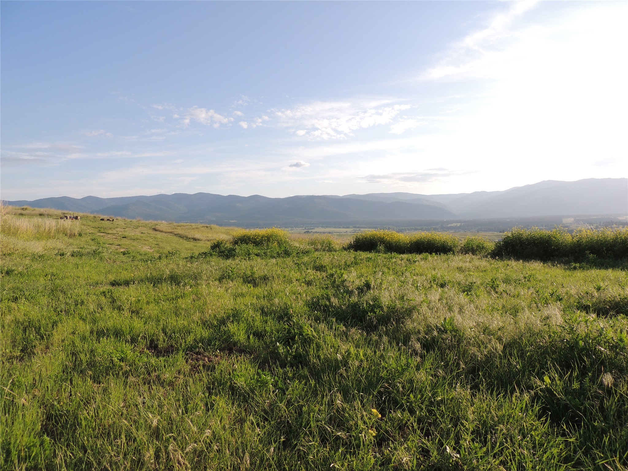 Plains Real Estate Listings Main Image