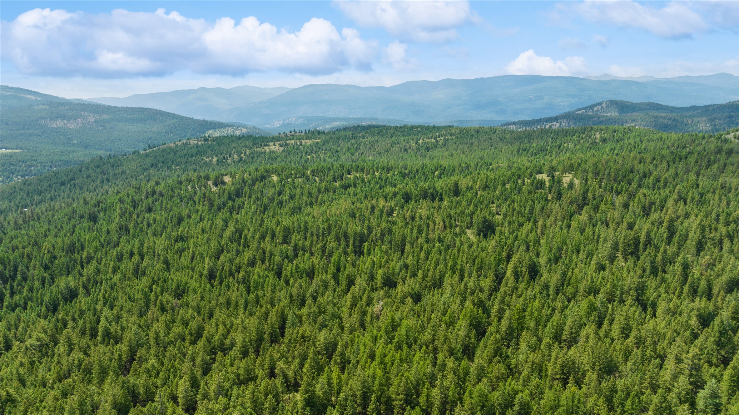 Nhn 540 Pinkham Creek Road Property Photo