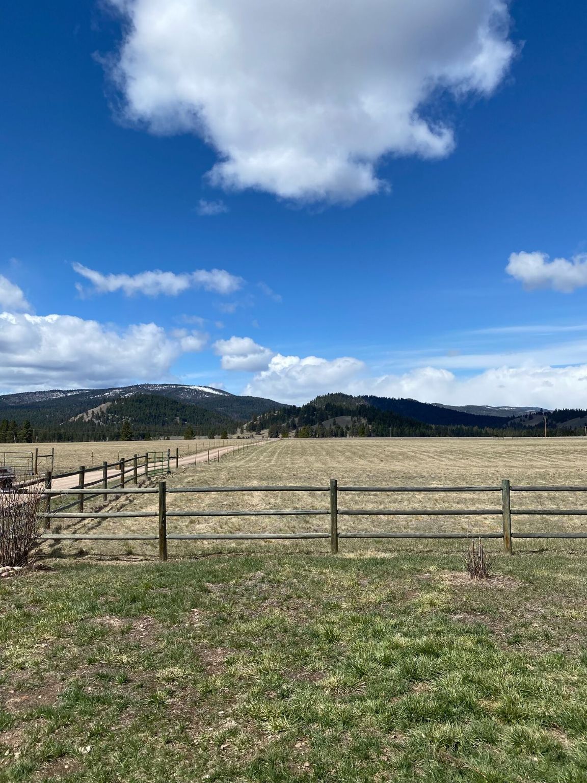 1500 Mt Highway 83 Property Photo 65