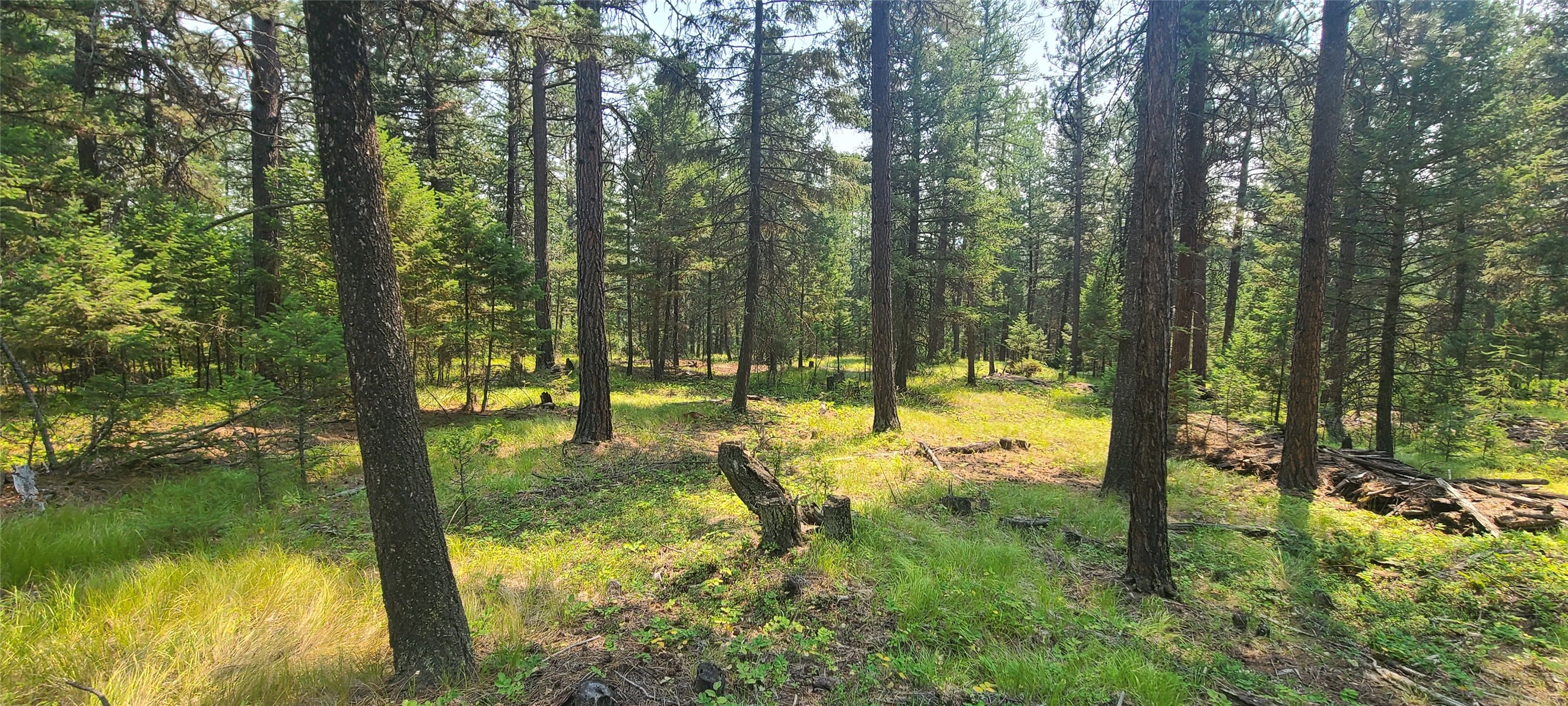 280 Smoke Ridge Road Property Photo