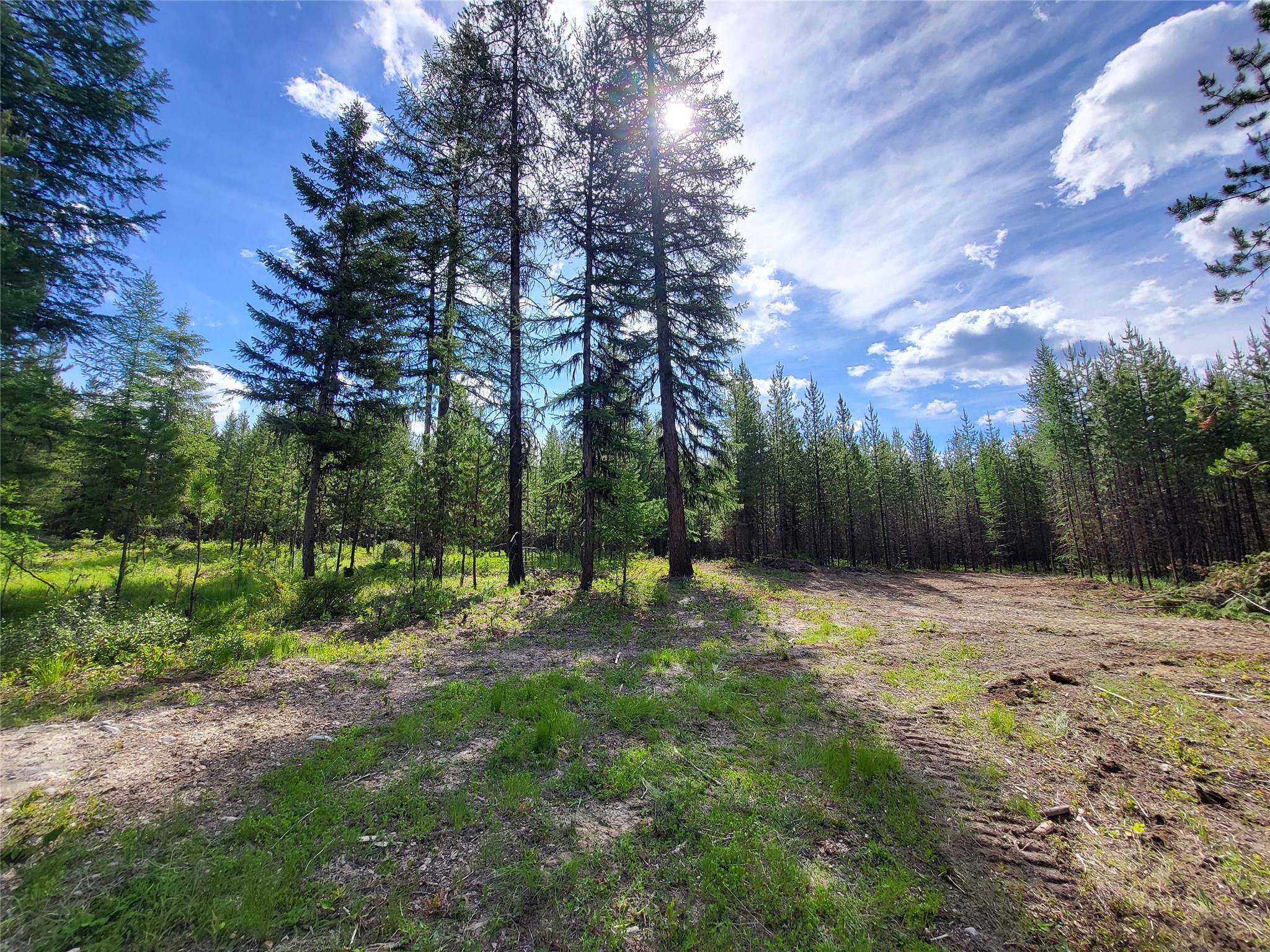 34388 Shay Lake Road Property Photo