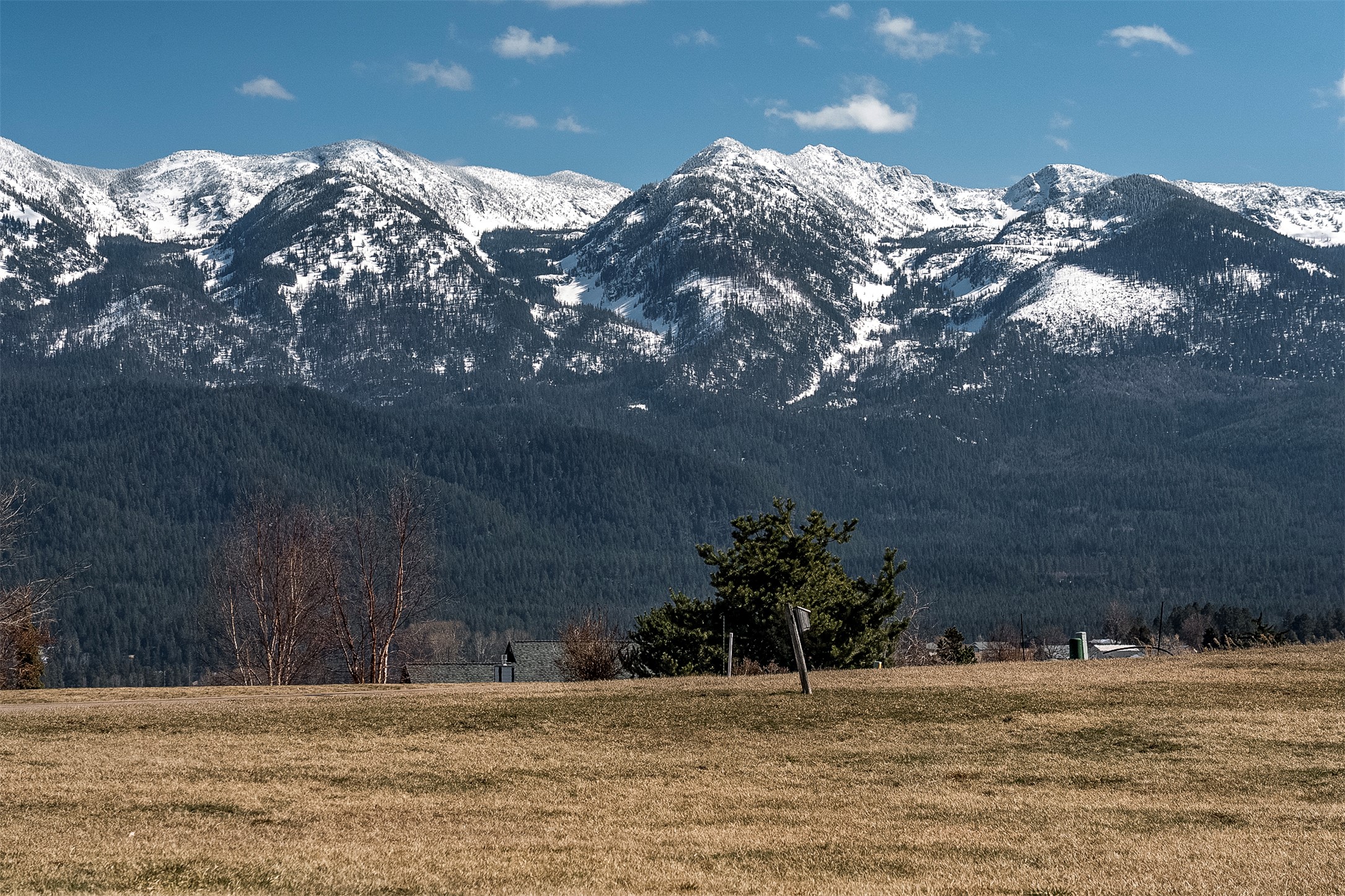 217 Pheasant Ridge Property Photo 58