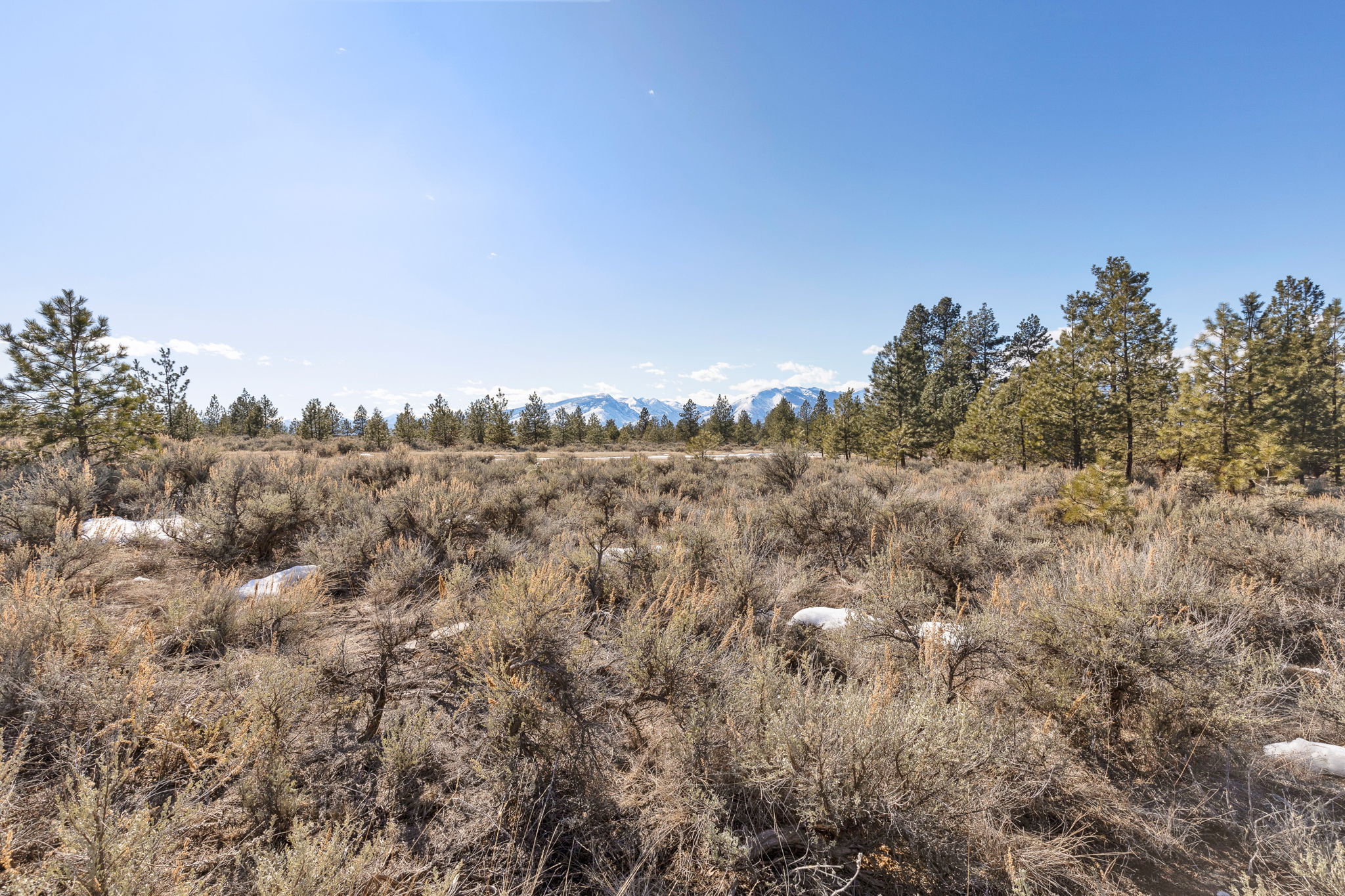 669 Prodigal Trail Property Photo 11