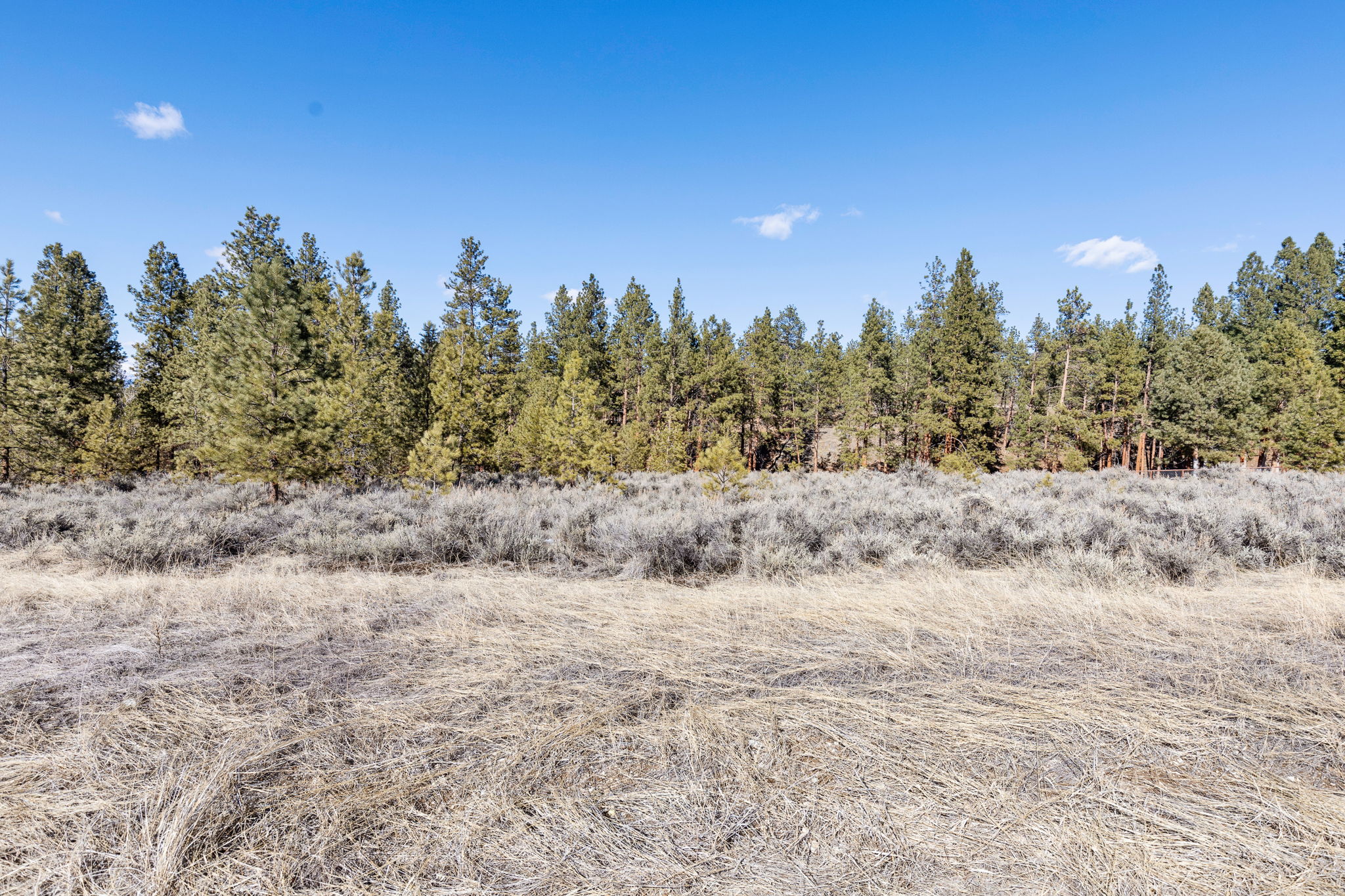 669 Prodigal Trail Property Photo 12