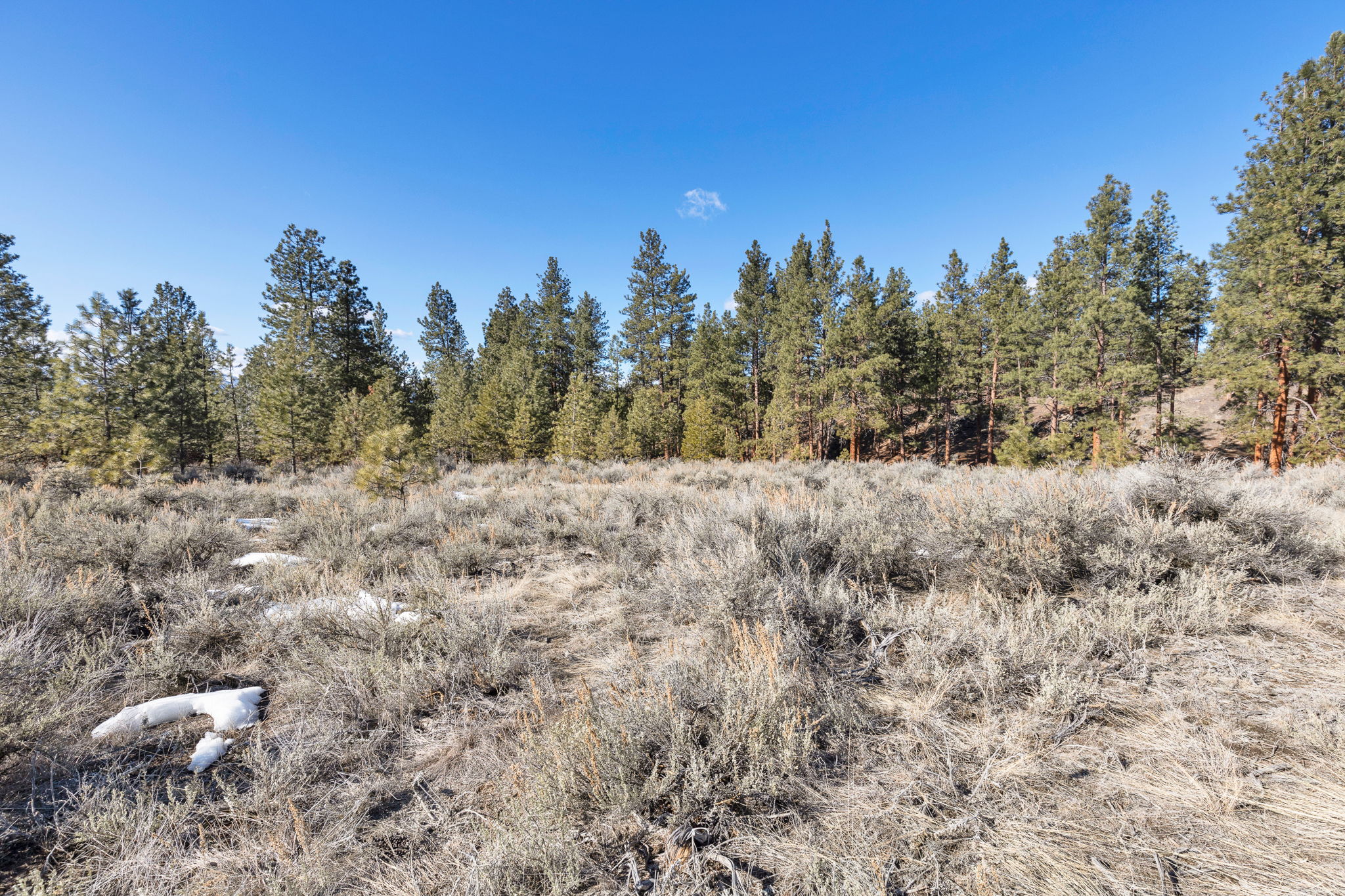 669 Prodigal Trail Property Photo 13